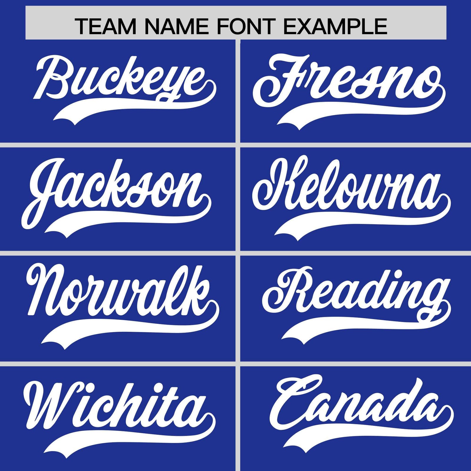 Custom Royal White Stripe Animals Graffiti Pattern Raglan Sleeves Authentic Baseball Jersey