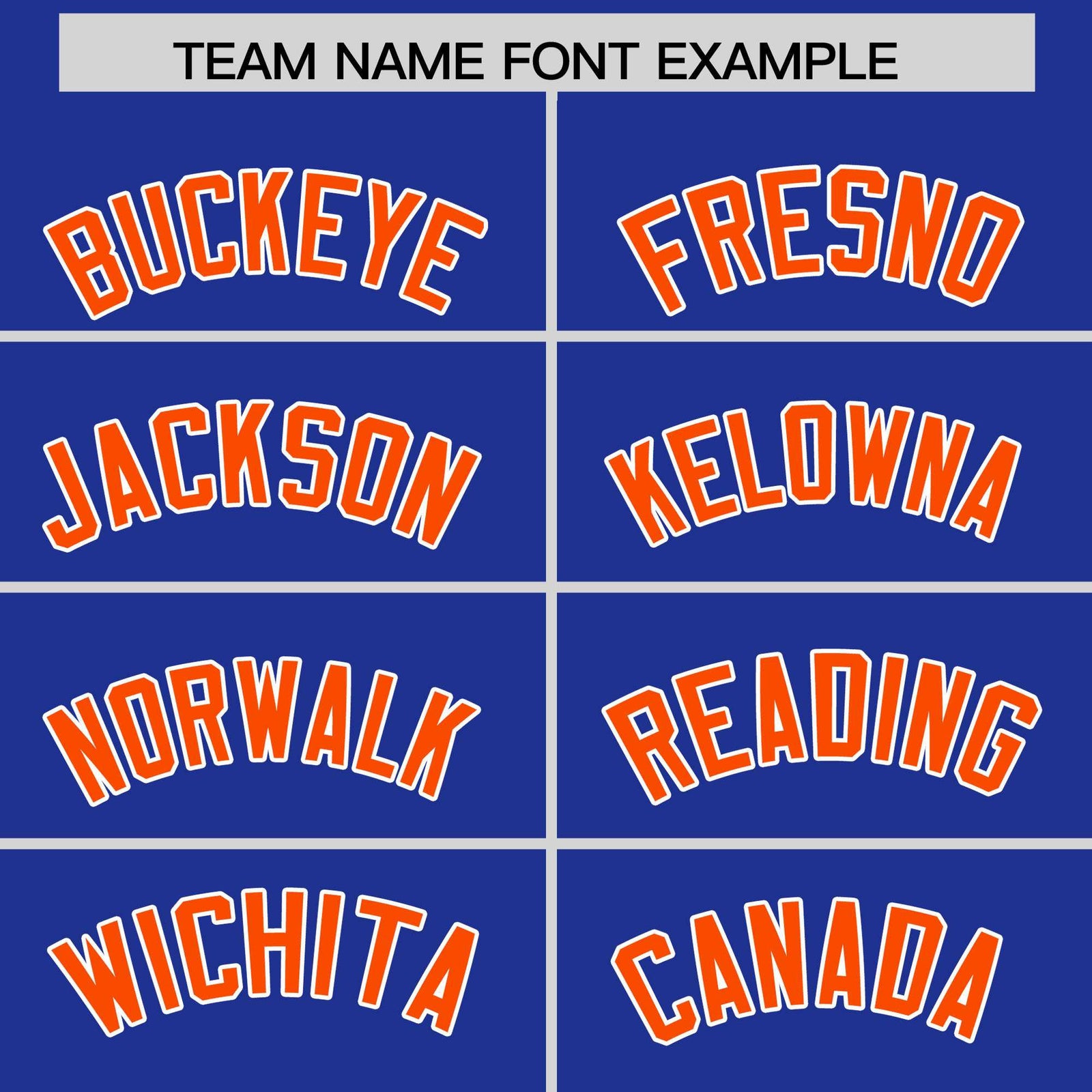 Custom Royal Orange Stripe Animals Graffiti Pattern Raglan Sleeves Authentic Baseball Jersey