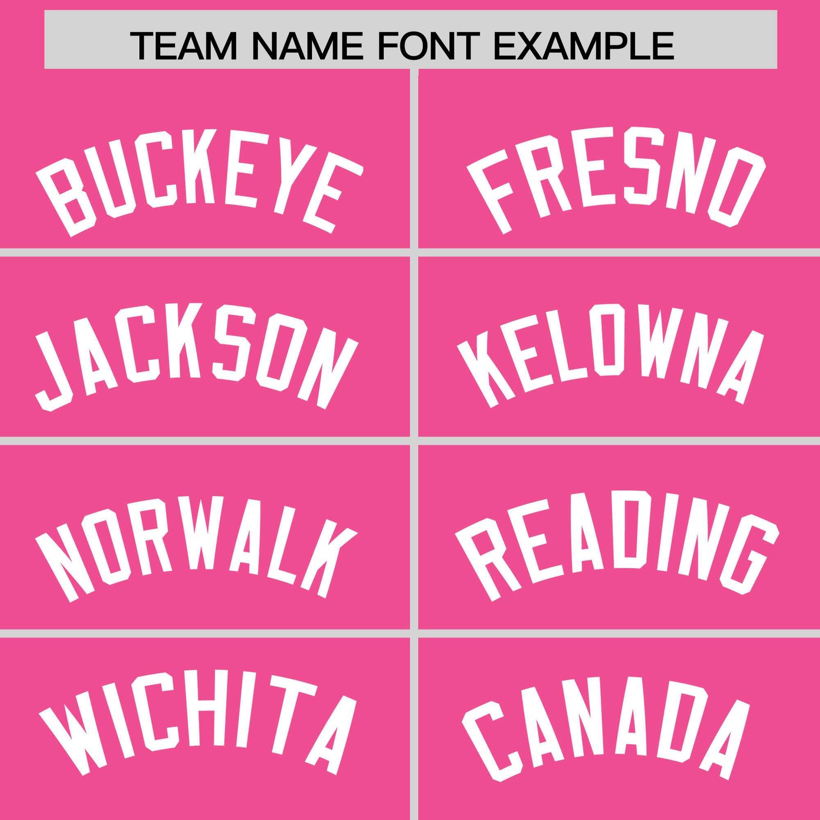 Custom Pink White Stripe Animals Graffiti Pattern Raglan Sleeves Authentic Baseball Jersey