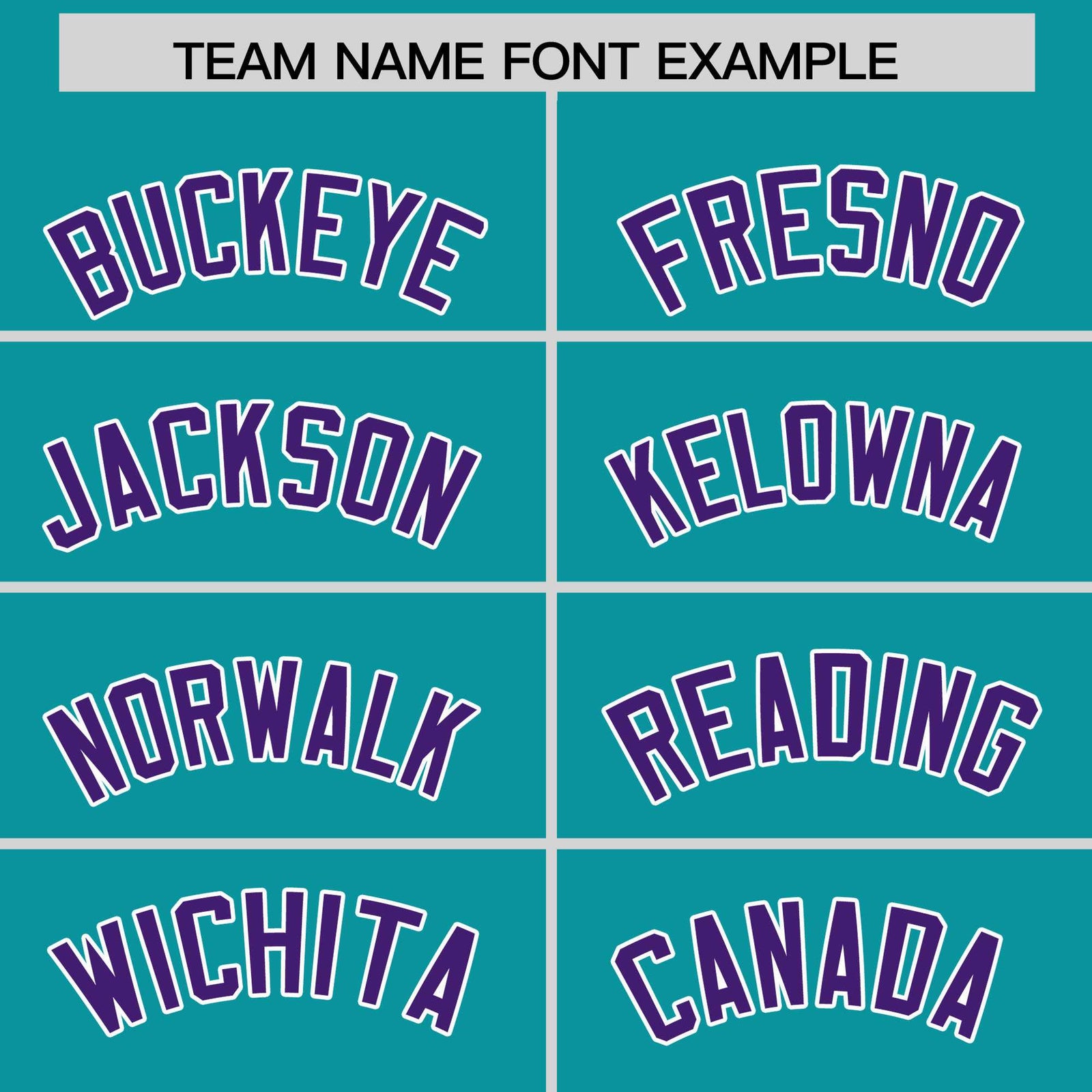 Custom Aqua Purple Stripe Animals Graffiti Pattern Raglan Sleeves Authentic Baseball Jersey