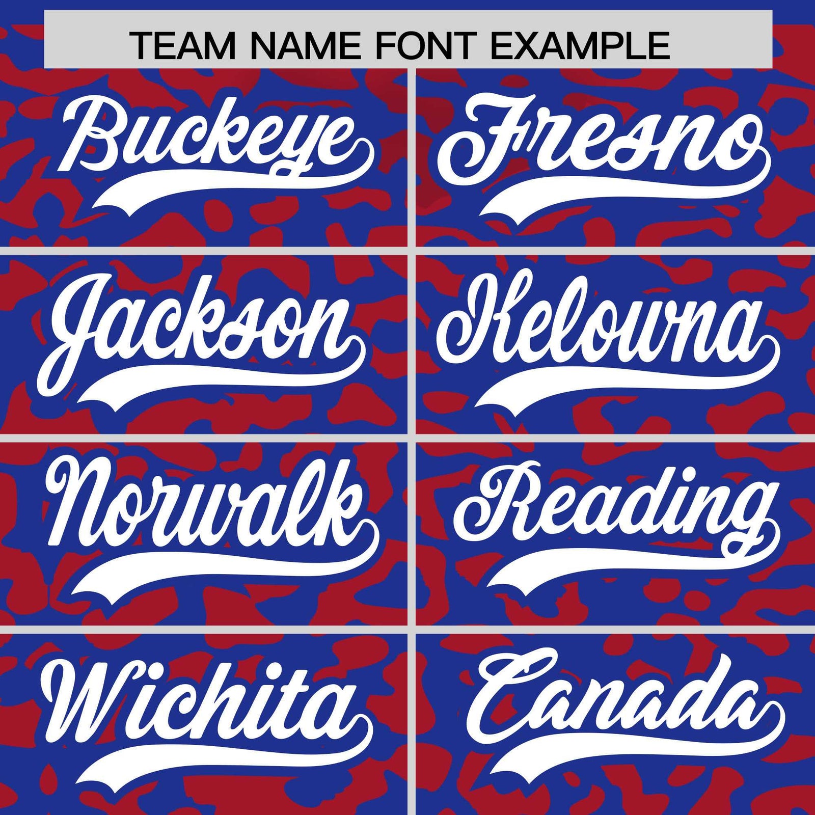 Custom Royal Red Leopard Print Pattern Authentic Baseball Jersey