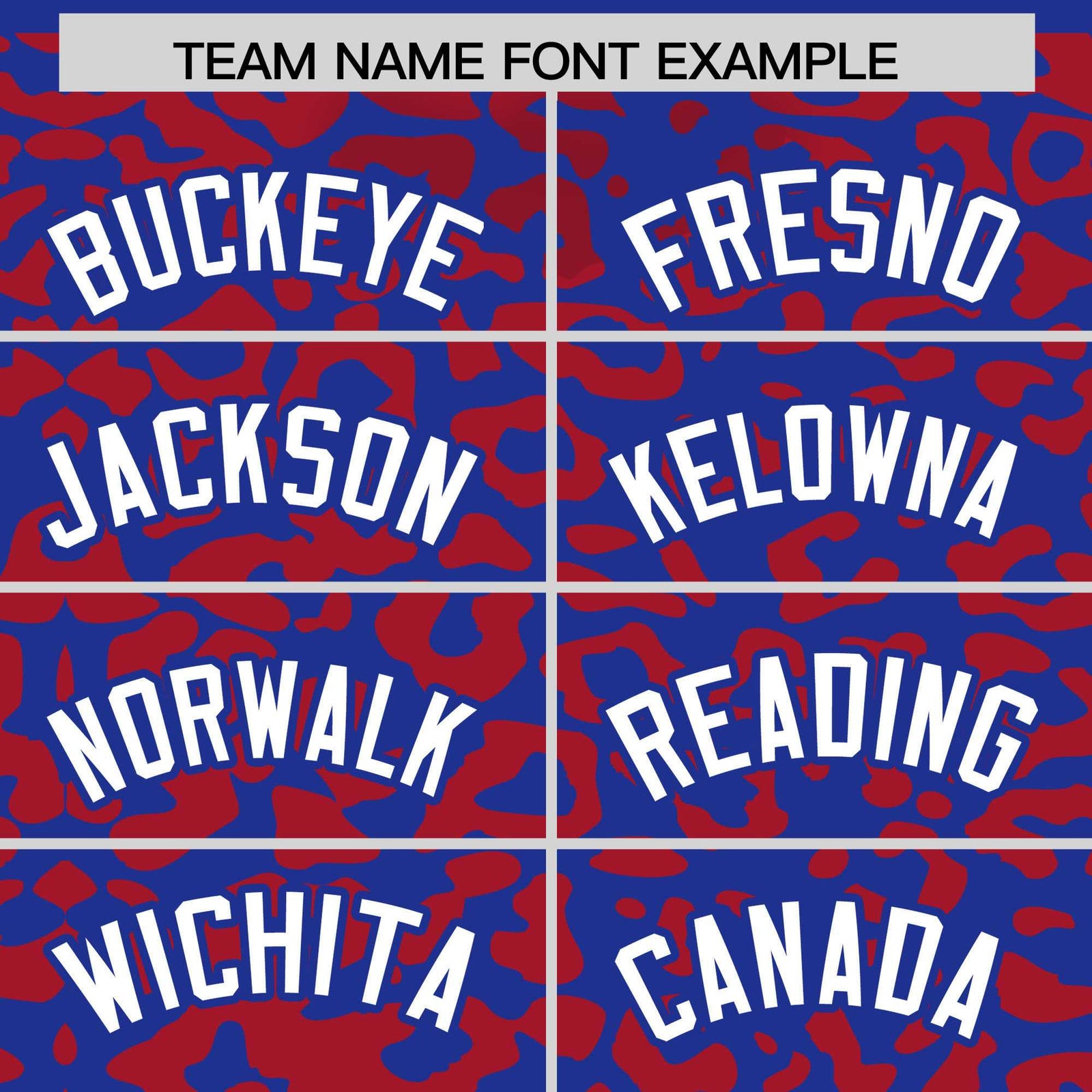 Custom Royal Red Leopard Print Pattern Authentic Baseball Jersey