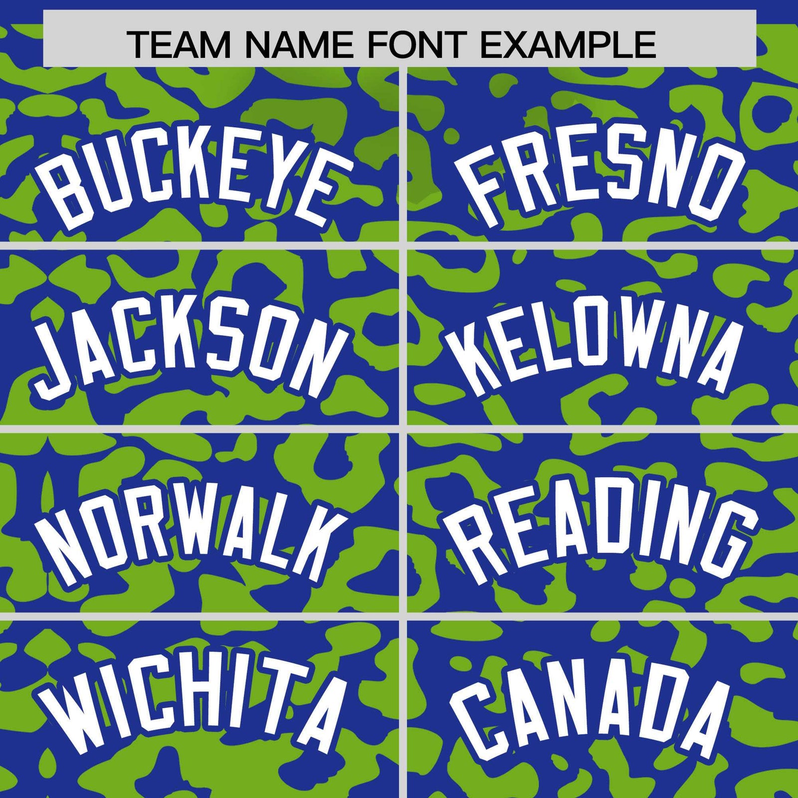 Custom Royal Neon Green Leopard Print Pattern Authentic Baseball Jersey