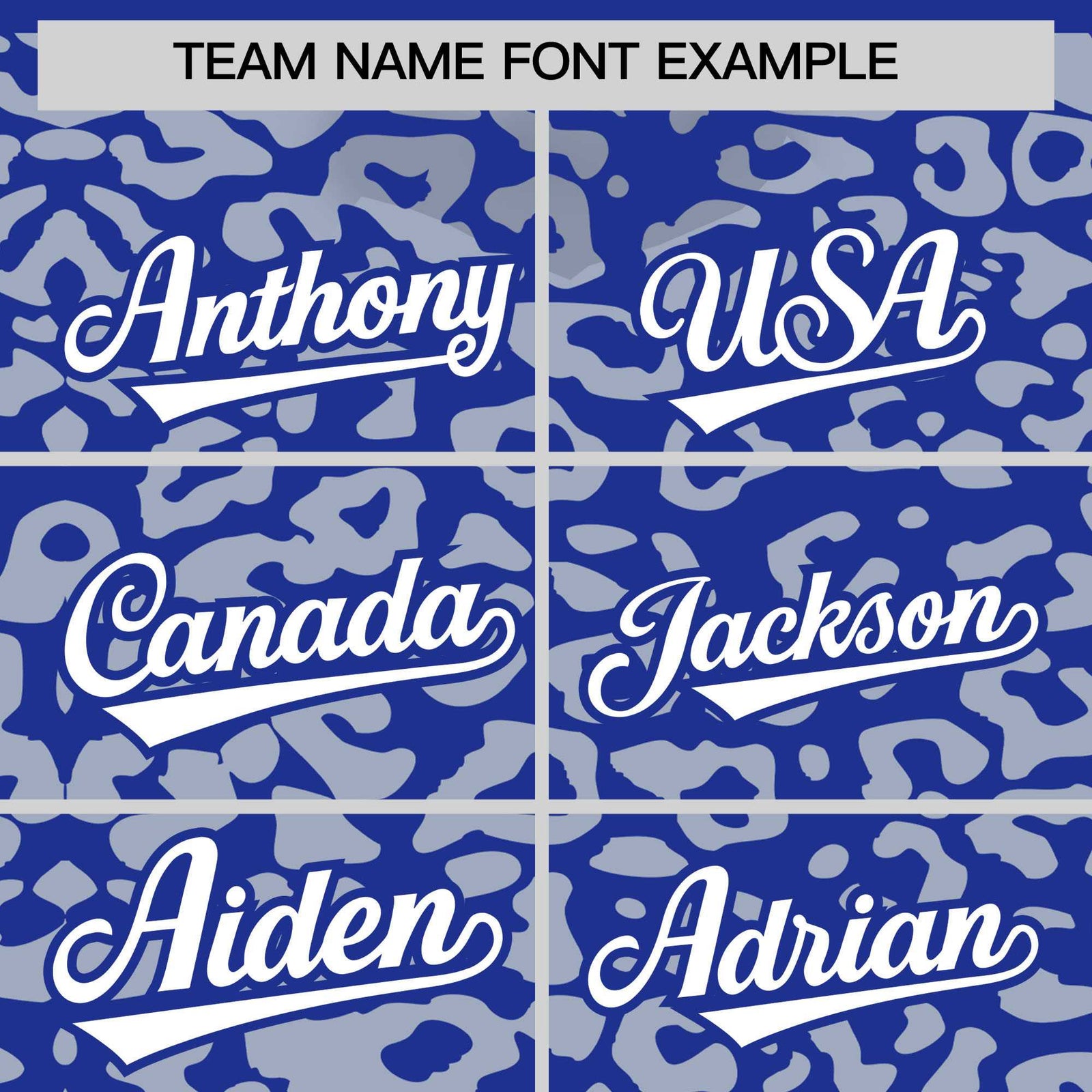 Custom Royal Silver Leopard Print Pattern Authentic Baseball Jersey