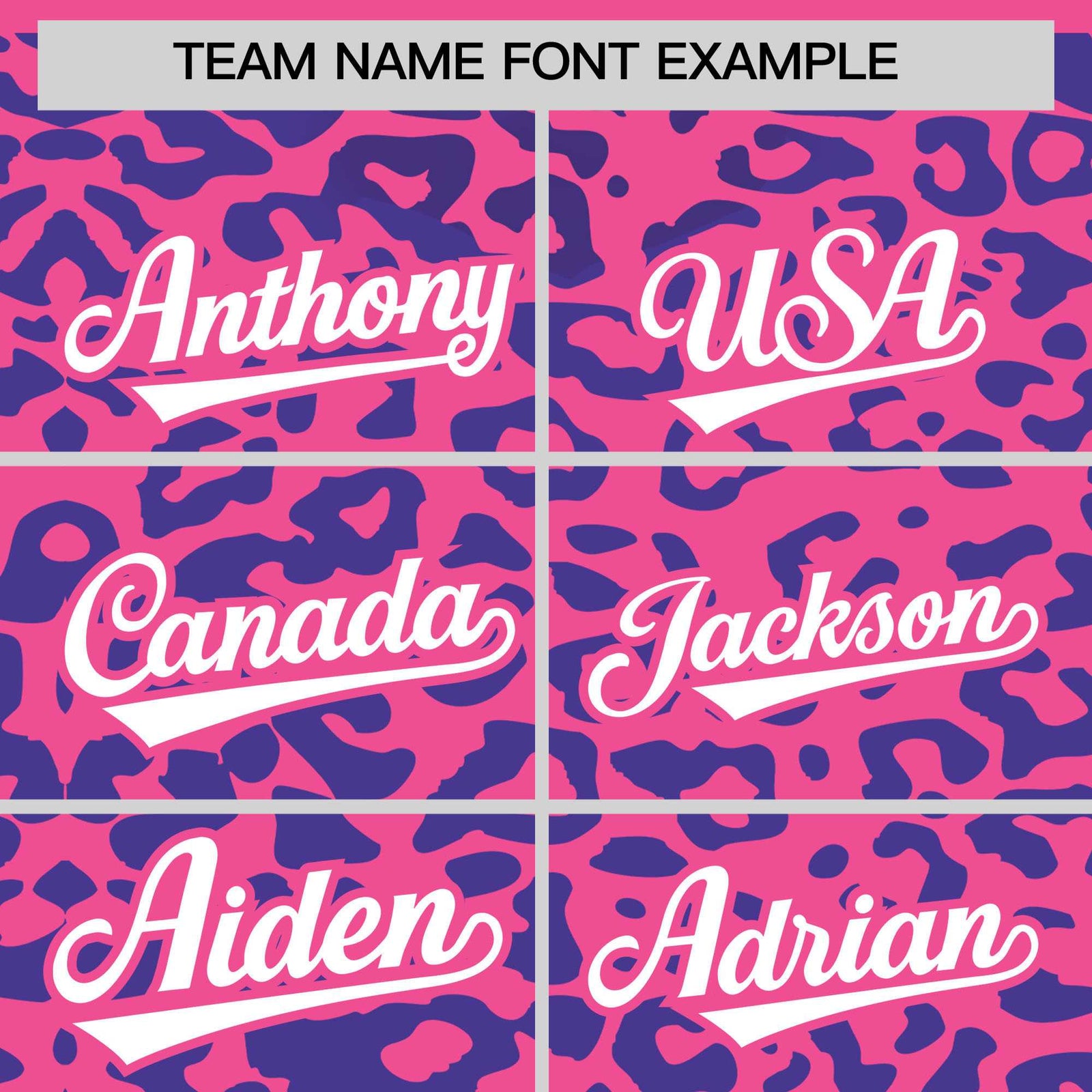 Custom Pink Royal Leopard Print Pattern Authentic Baseball Jersey