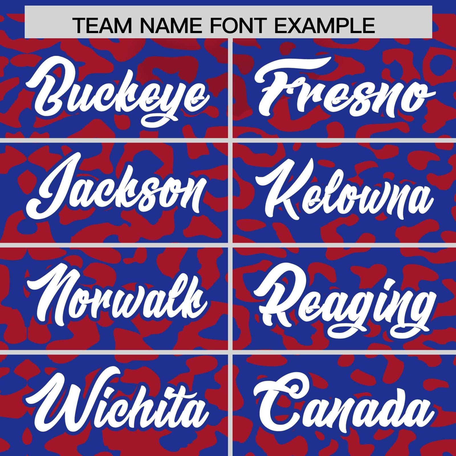 Custom Royal Red Leopard Print Pattern Authentic Baseball Jersey