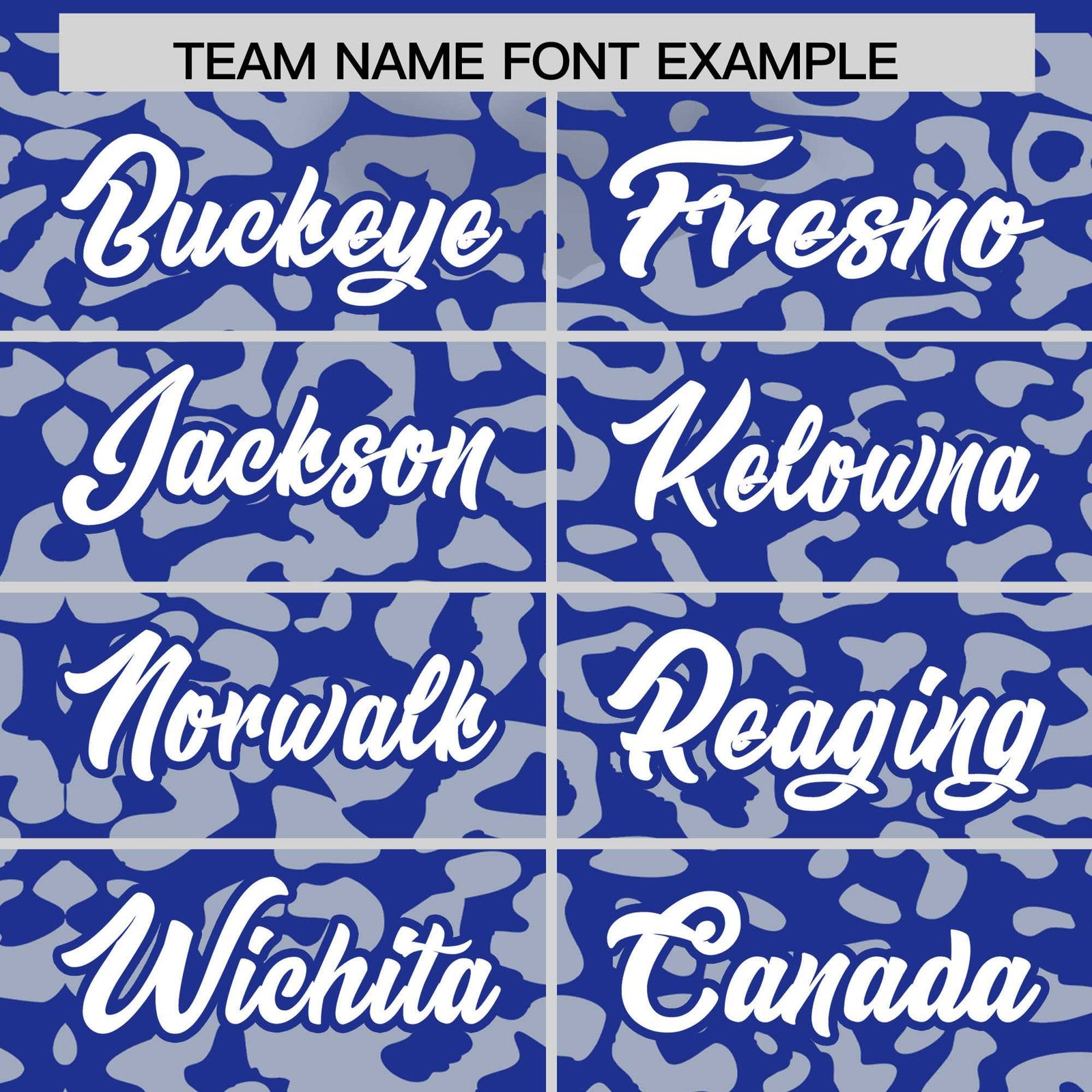 Custom Royal Silver Leopard Print Pattern Authentic Baseball Jersey