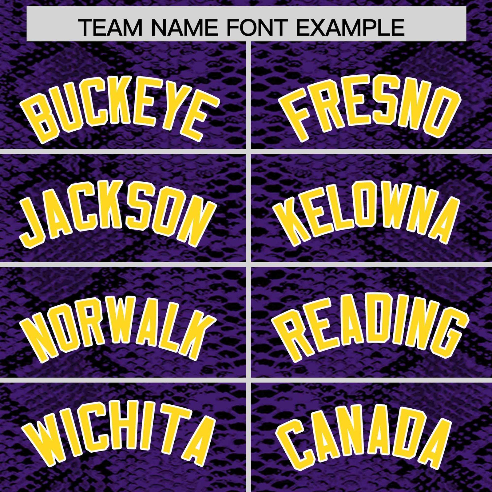 Custom Multi Color Snakeskin Pattern Authentic Baseball Jersey