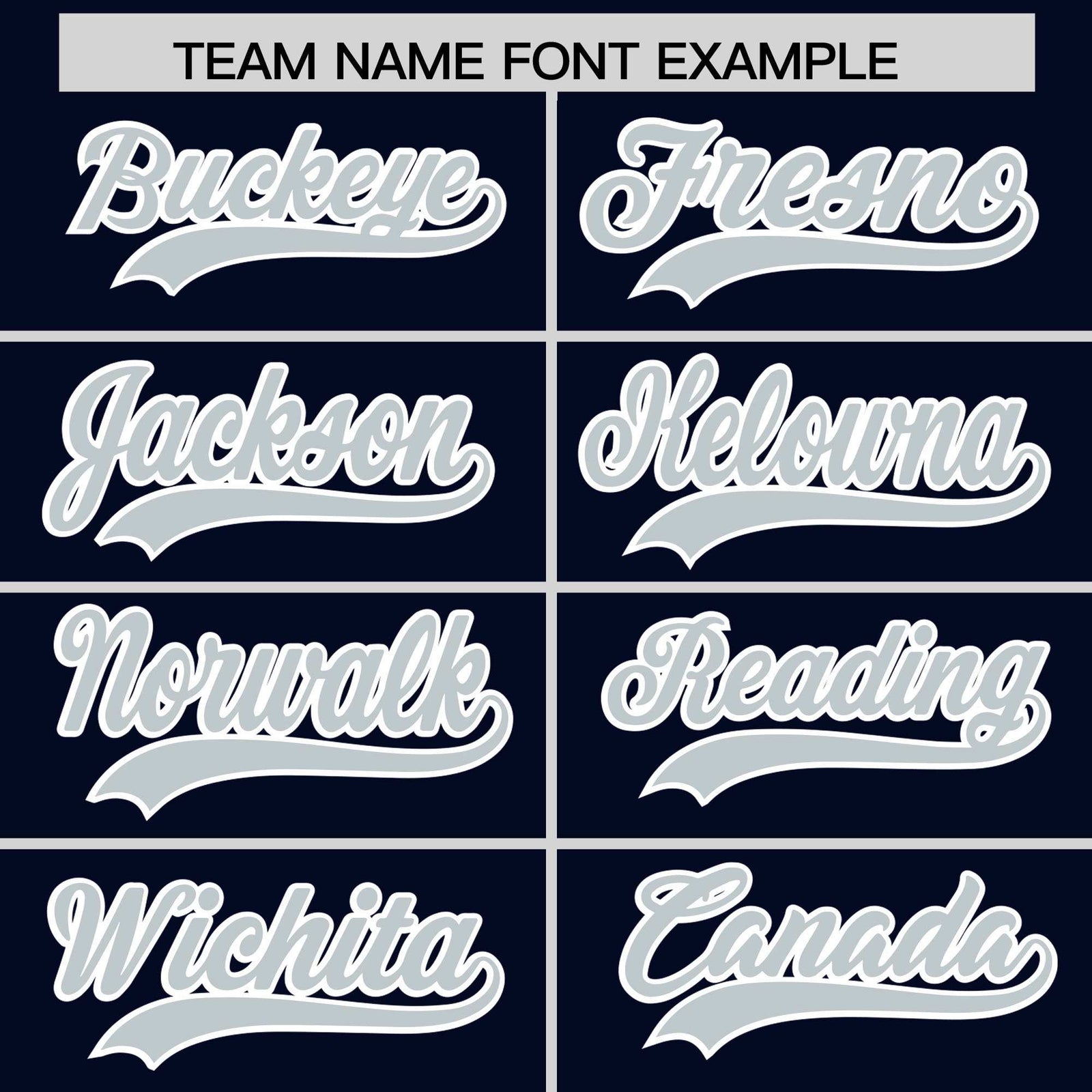 Custom Navy Silver Personalized Leopard Graffiti Pattern Side Design Authentic Baseball Jersey