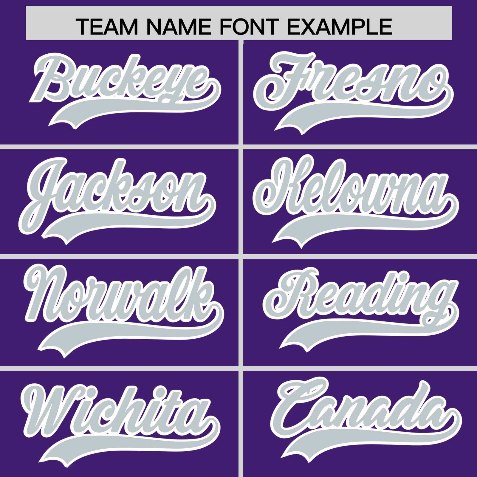 Custom Purple Silver Personalized Leopard Graffiti Pattern Side Design Authentic Baseball Jersey