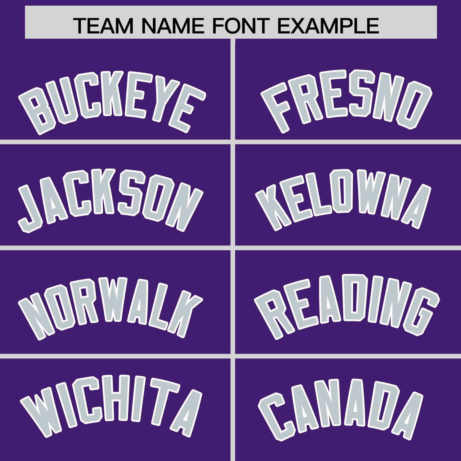 Custom Purple Silver Personalized Leopard Graffiti Pattern Side Design Authentic Baseball Jersey
