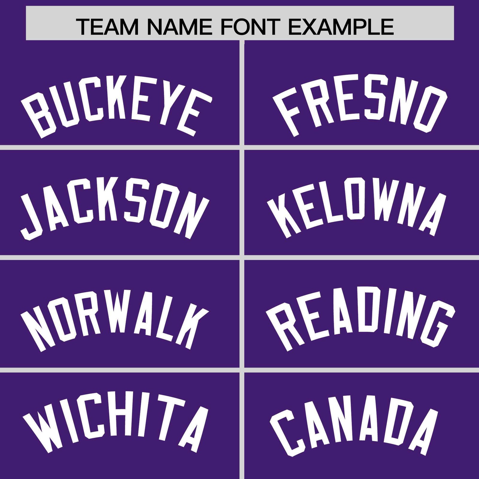 Custom Purple White Personalized Leopard Graffiti Pattern Side Design Authentic Baseball Jersey