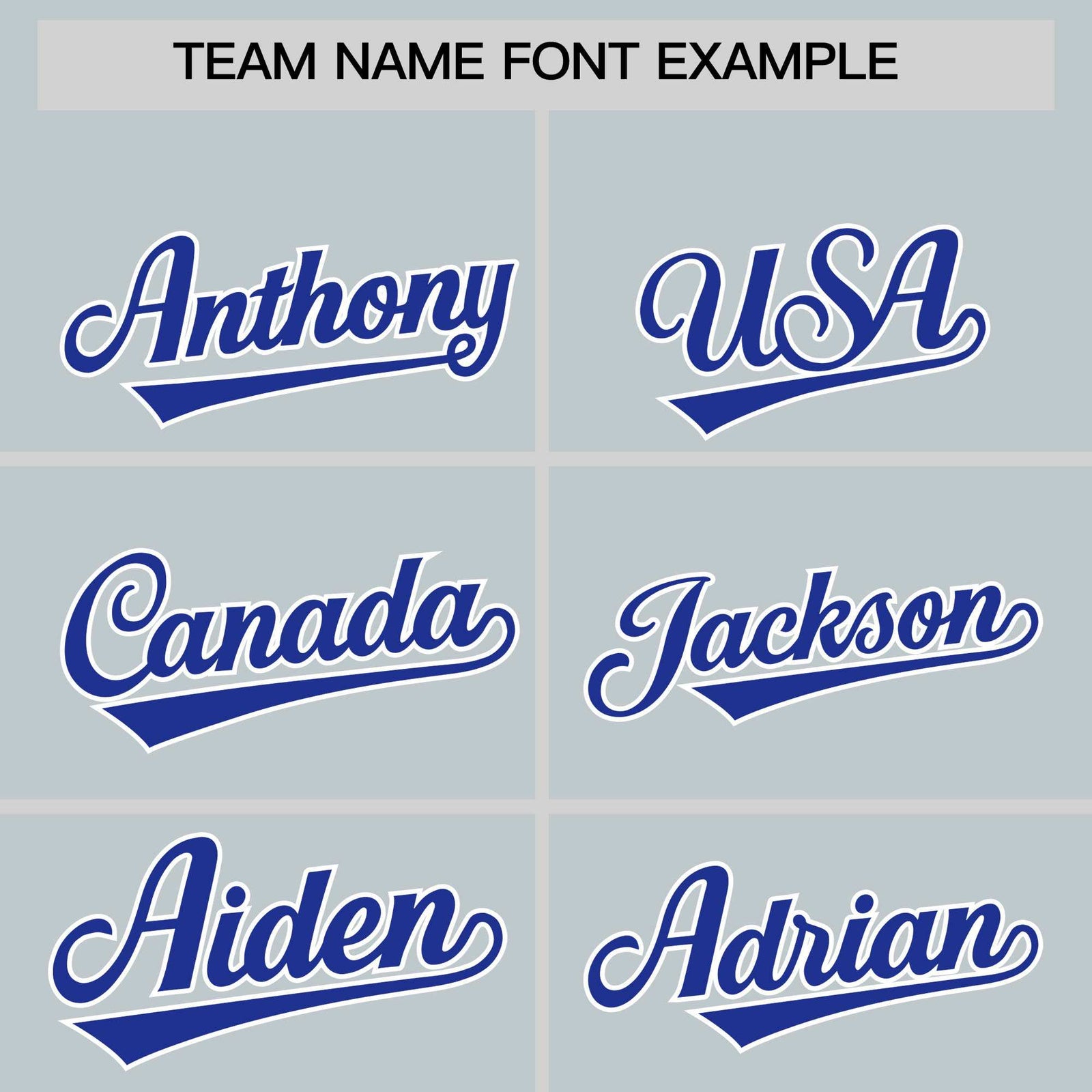 Custom Silver Royal Personalized Leopard Graffiti Pattern Side Design Authentic Baseball Jersey