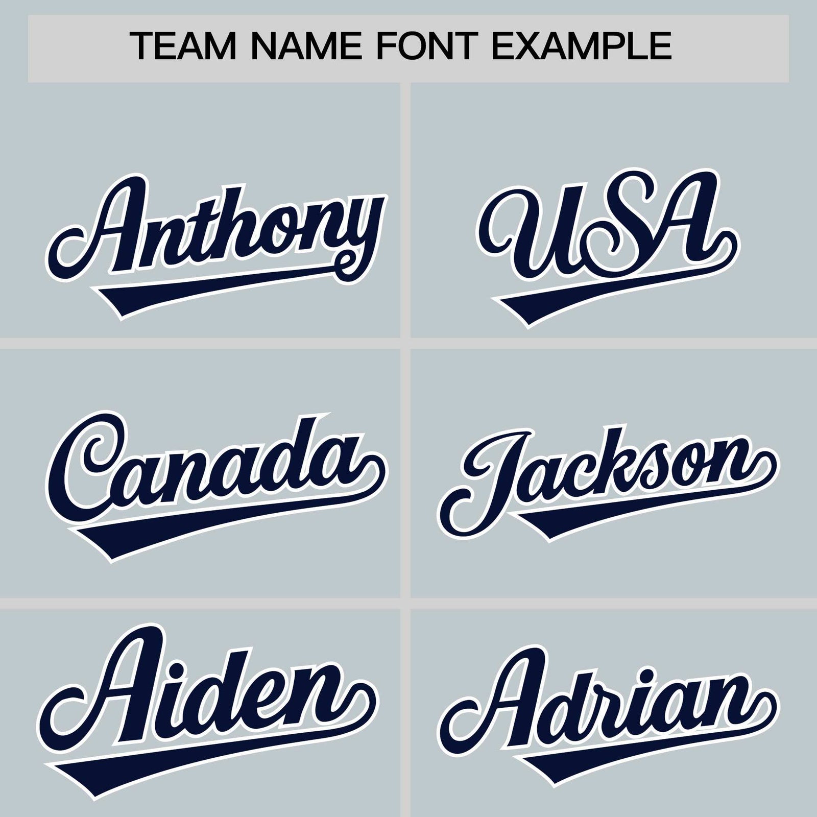 Custom Silver Navy Personalized Leopard Graffiti Pattern Side Design Authentic Baseball Jersey