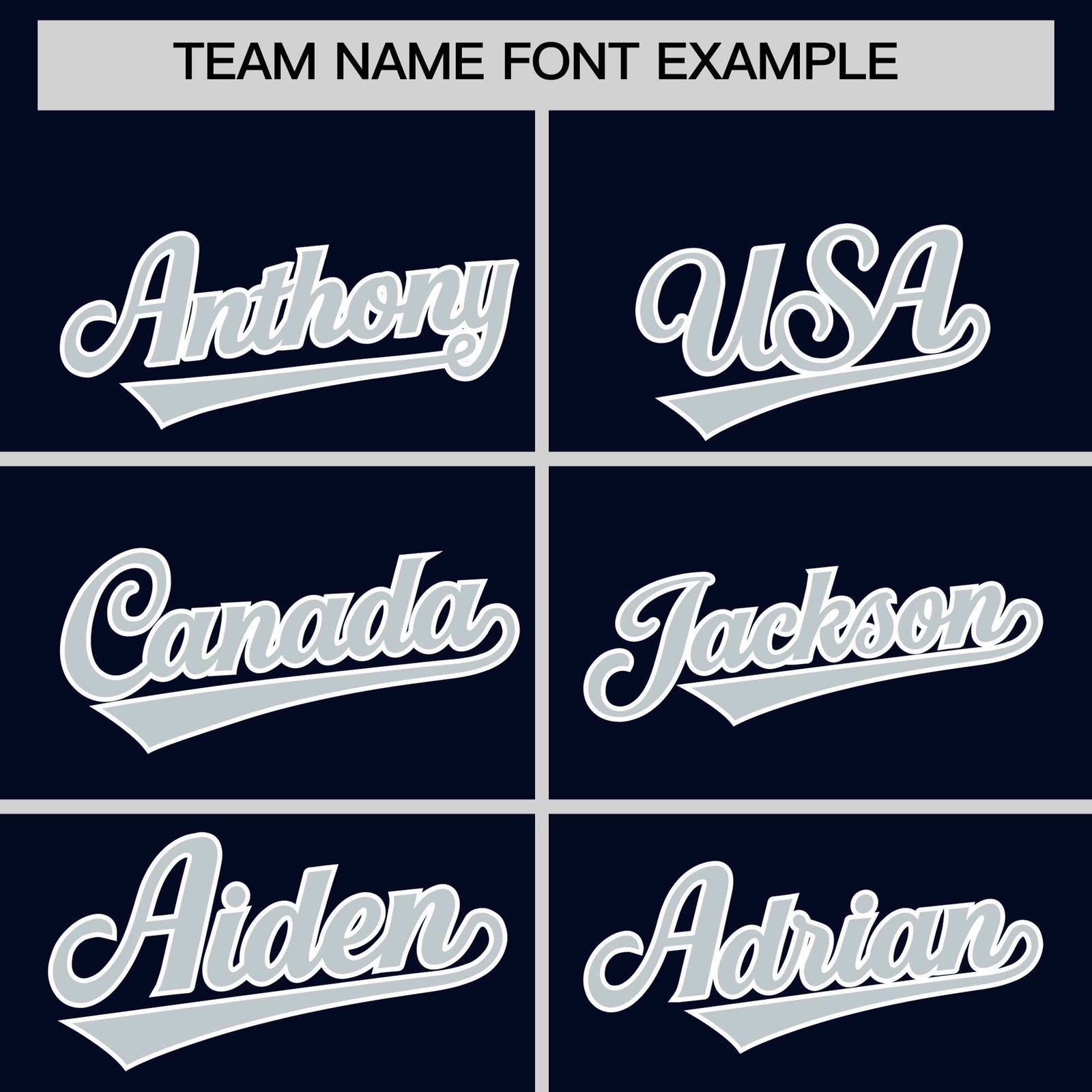 Custom Navy Silver Personalized Leopard Graffiti Pattern Side Design Authentic Baseball Jersey