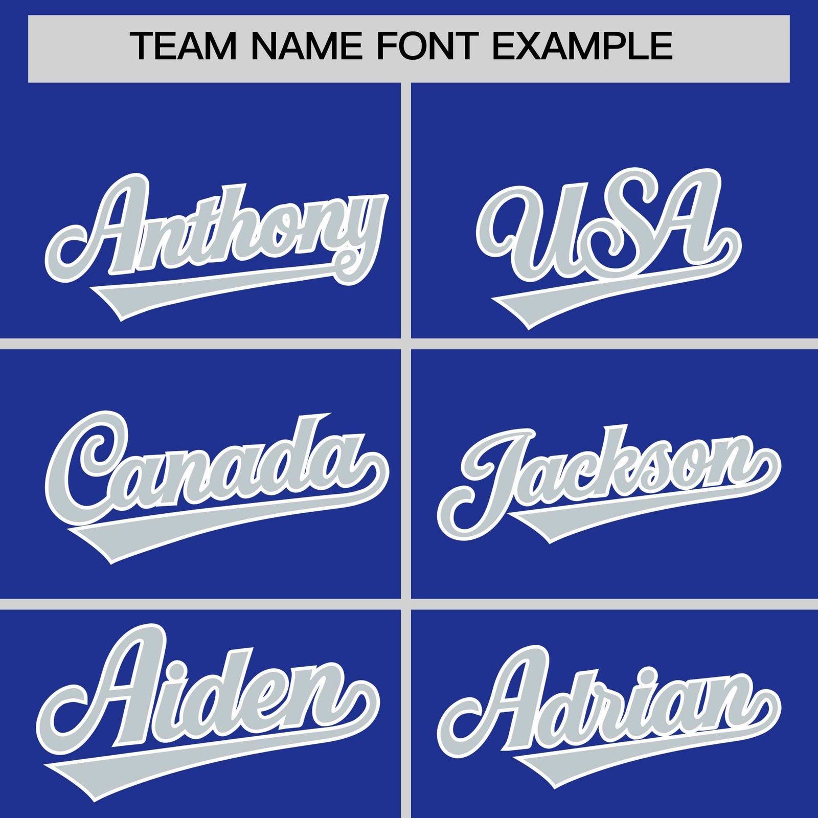 Custom Royal Silver Personalized Leopard Graffiti Pattern Side Design Authentic Baseball Jersey
