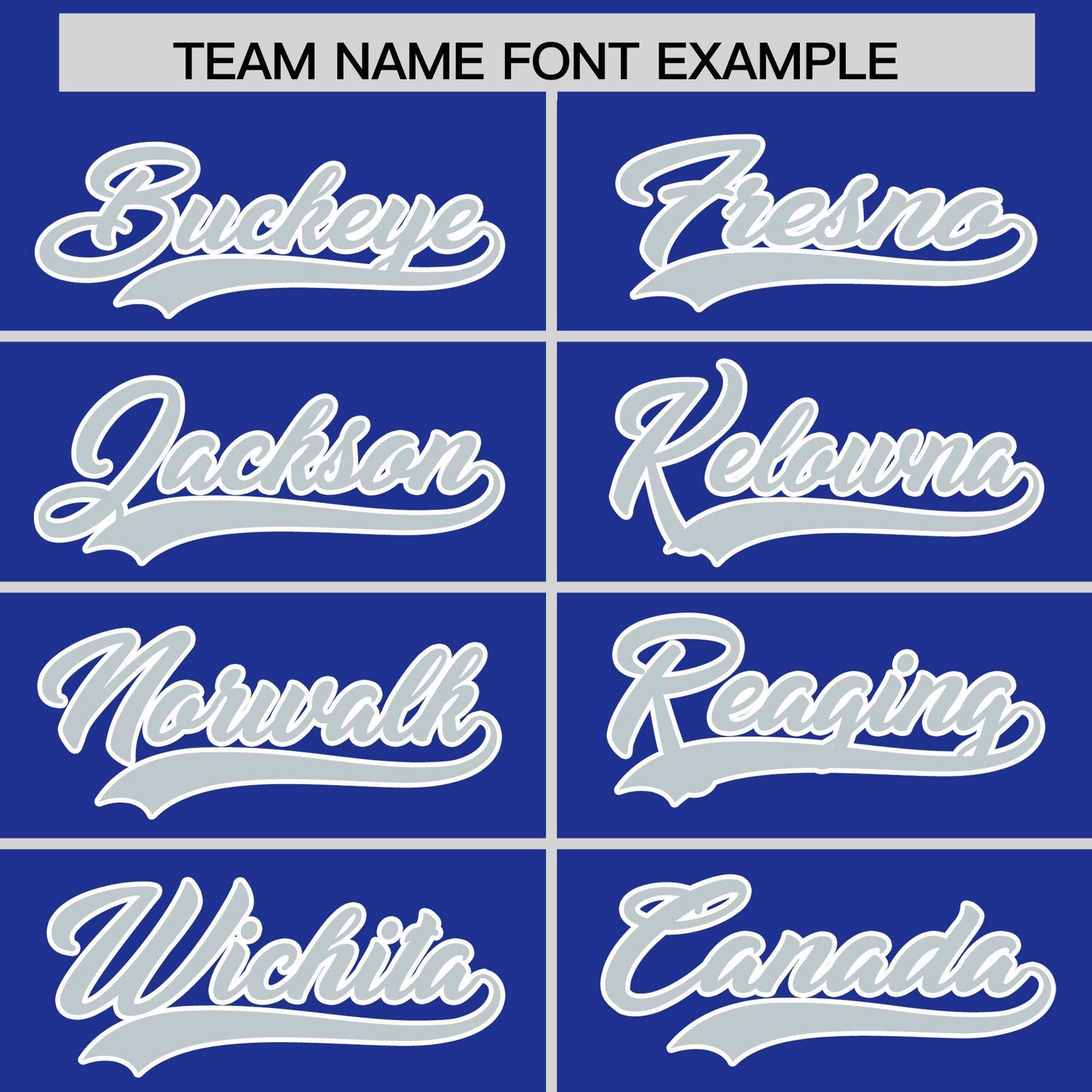 Custom Royal Silver Personalized Leopard Graffiti Pattern Side Design Authentic Baseball Jersey
