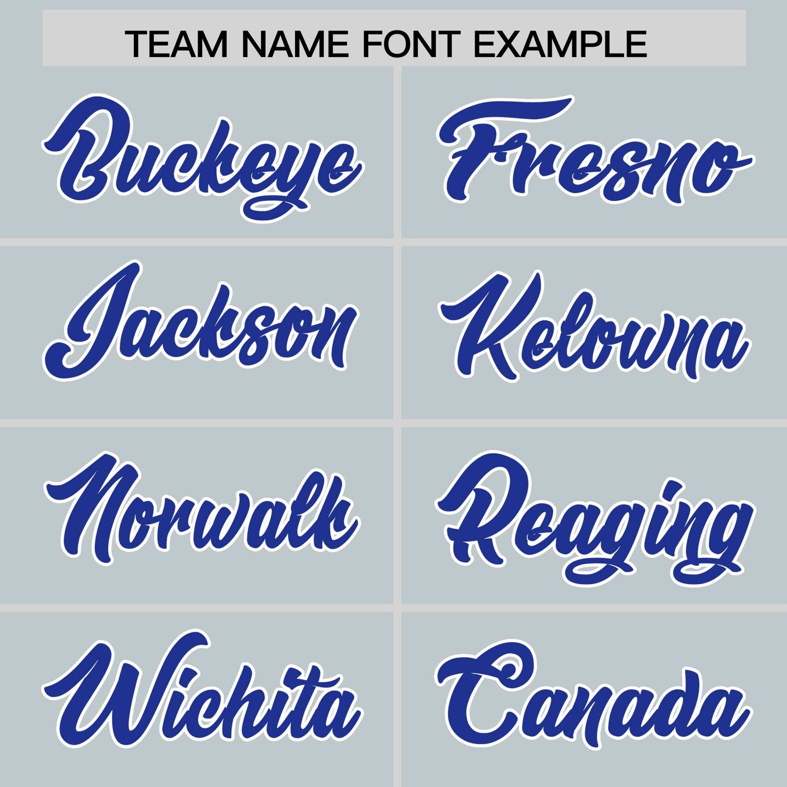 Custom Silver Royal Personalized Leopard Graffiti Pattern Side Design Authentic Baseball Jersey