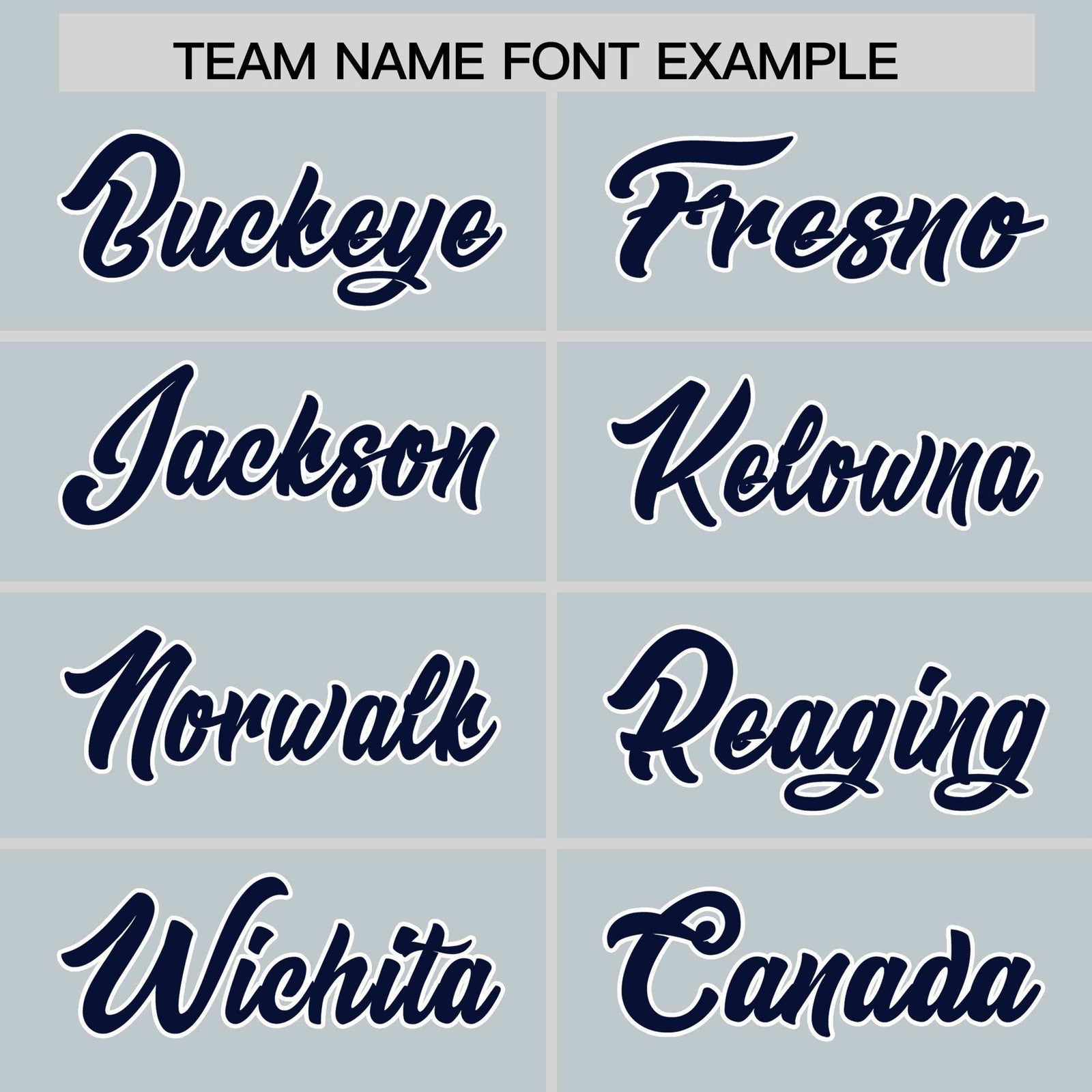 Custom Silver Navy Personalized Leopard Graffiti Pattern Side Design Authentic Baseball Jersey