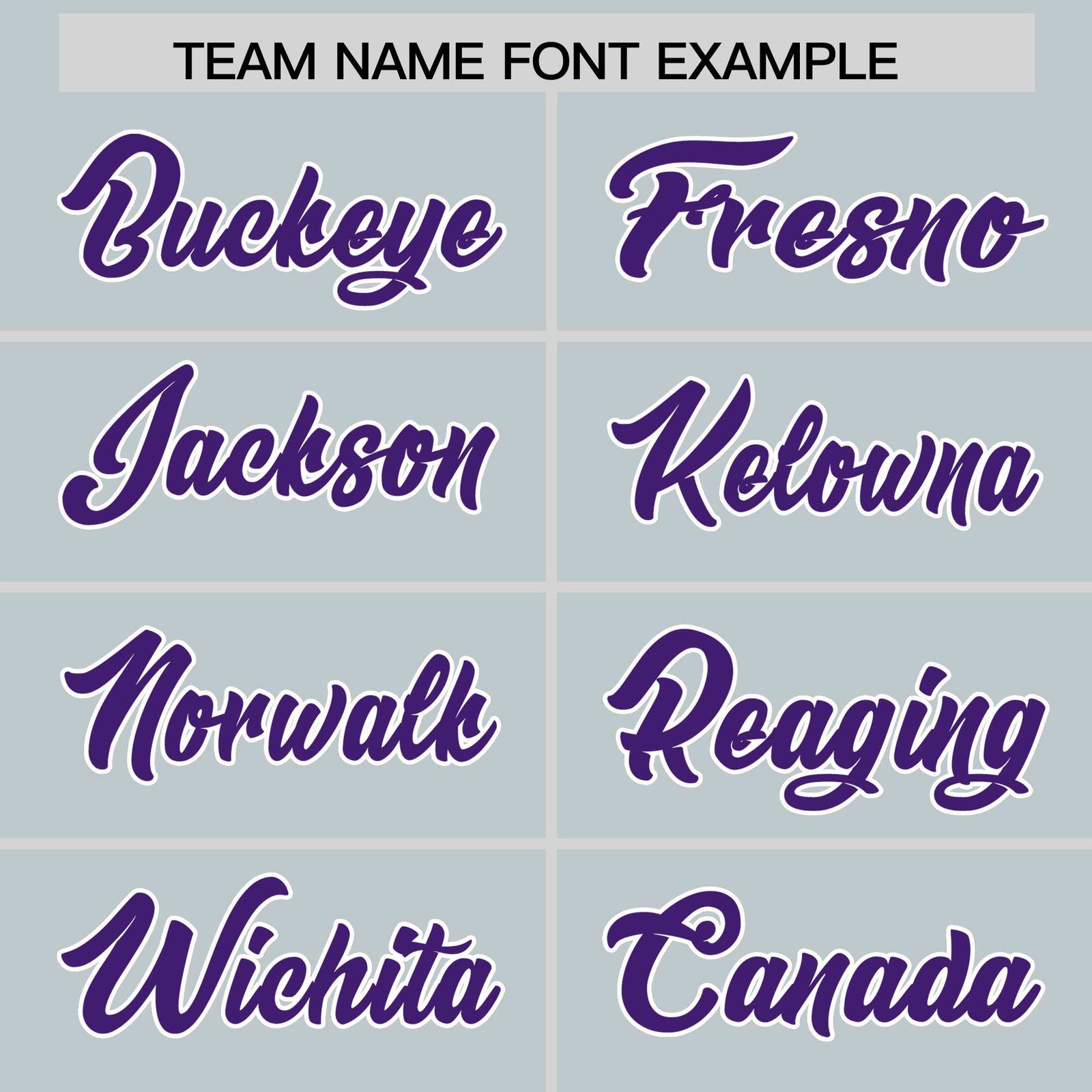 Custom Silver Purple Personalized Leopard Graffiti Pattern Side Design Authentic Baseball Jersey