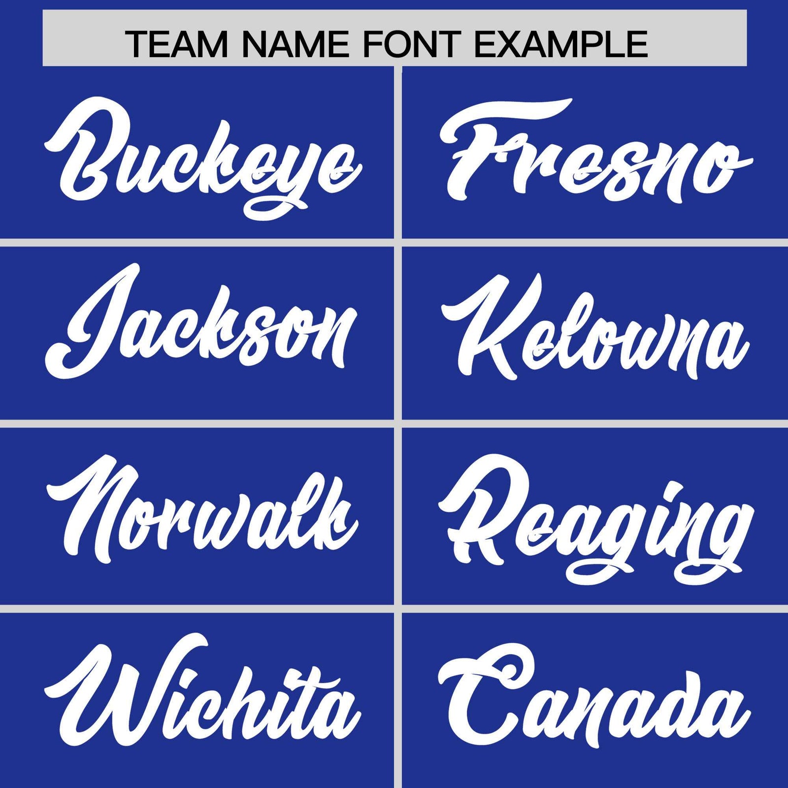 Custom Royal White Personalized Leopard Graffiti Pattern Side Design Authentic Baseball Jersey