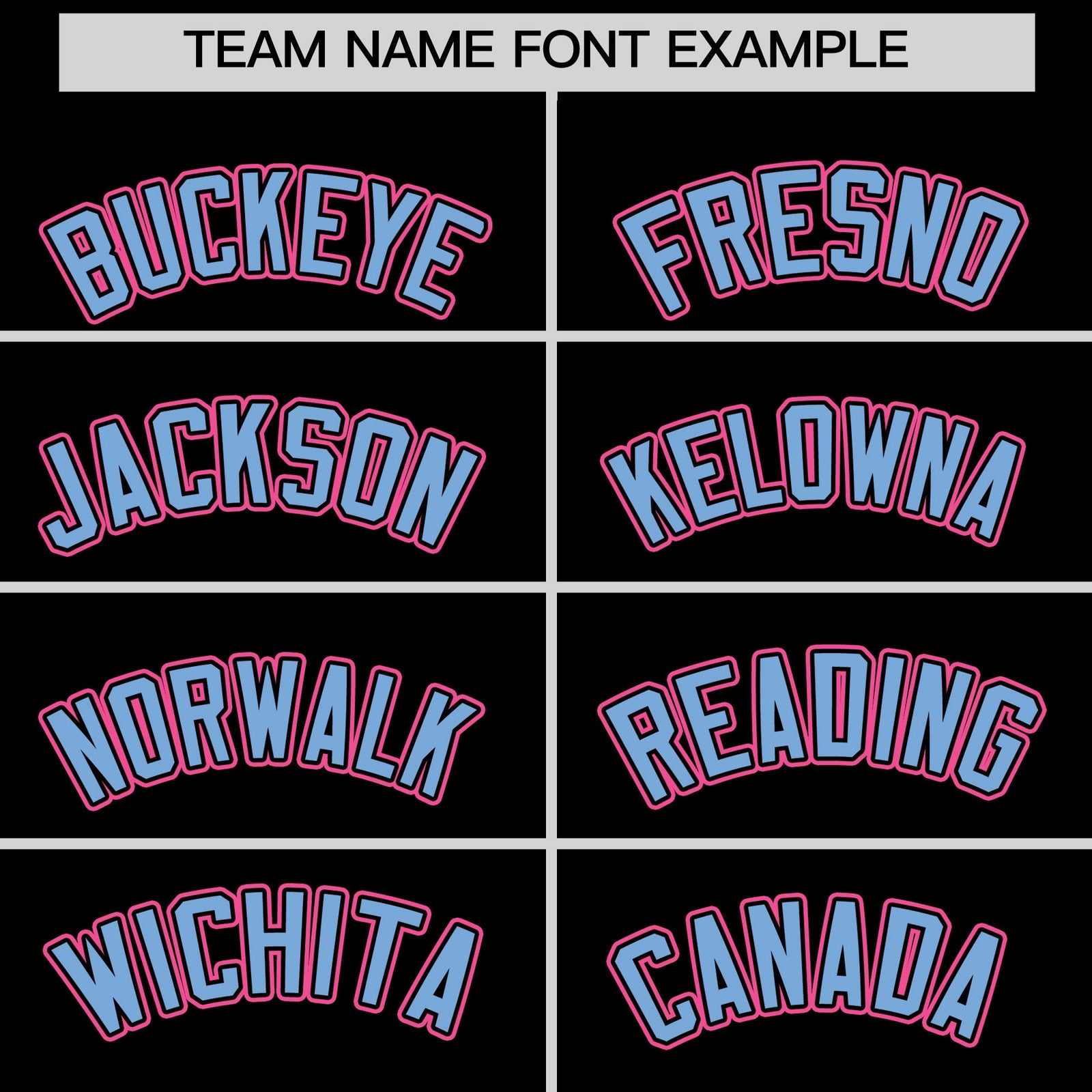Custom Black Light Blue White Rose Red Raglan Sleeves Varsity Full-Snap Leather Sleeves Letterman Jacket| KXKSHOP