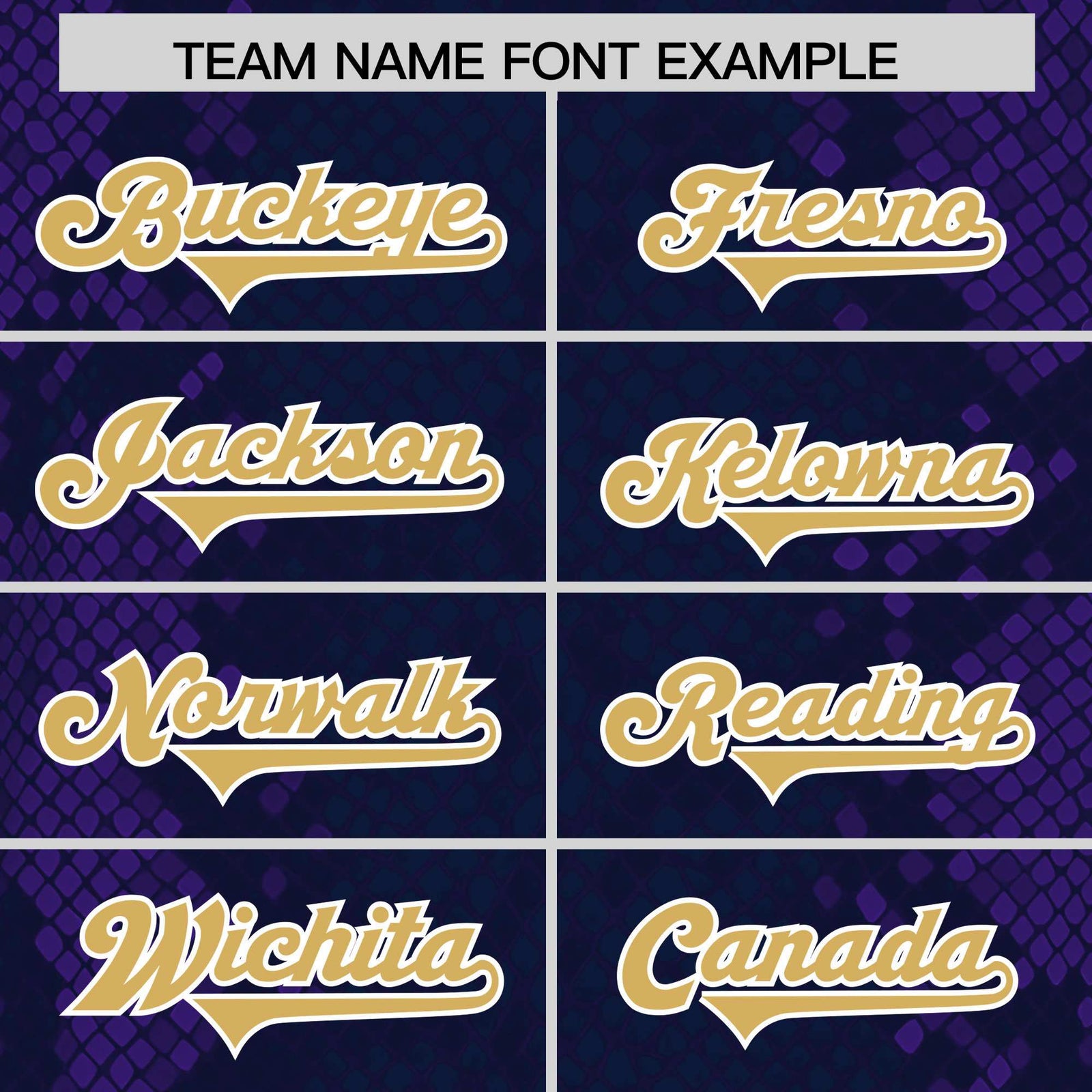 Custom Navy Personalized Snakeskin Graffiti Pattern Authentic Football Jersey