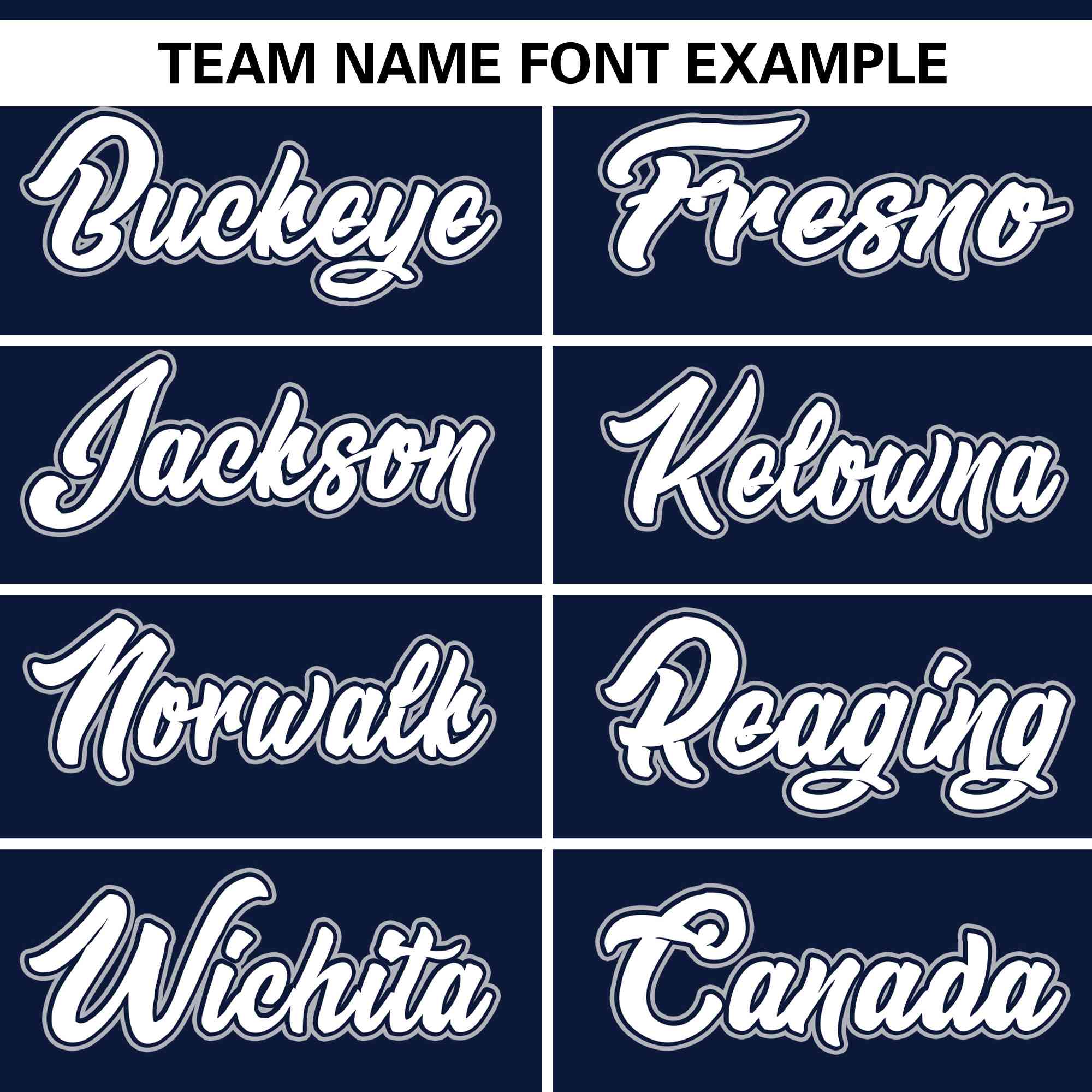 Custom Navy White Full Button Design Authentic Baseball Jersey