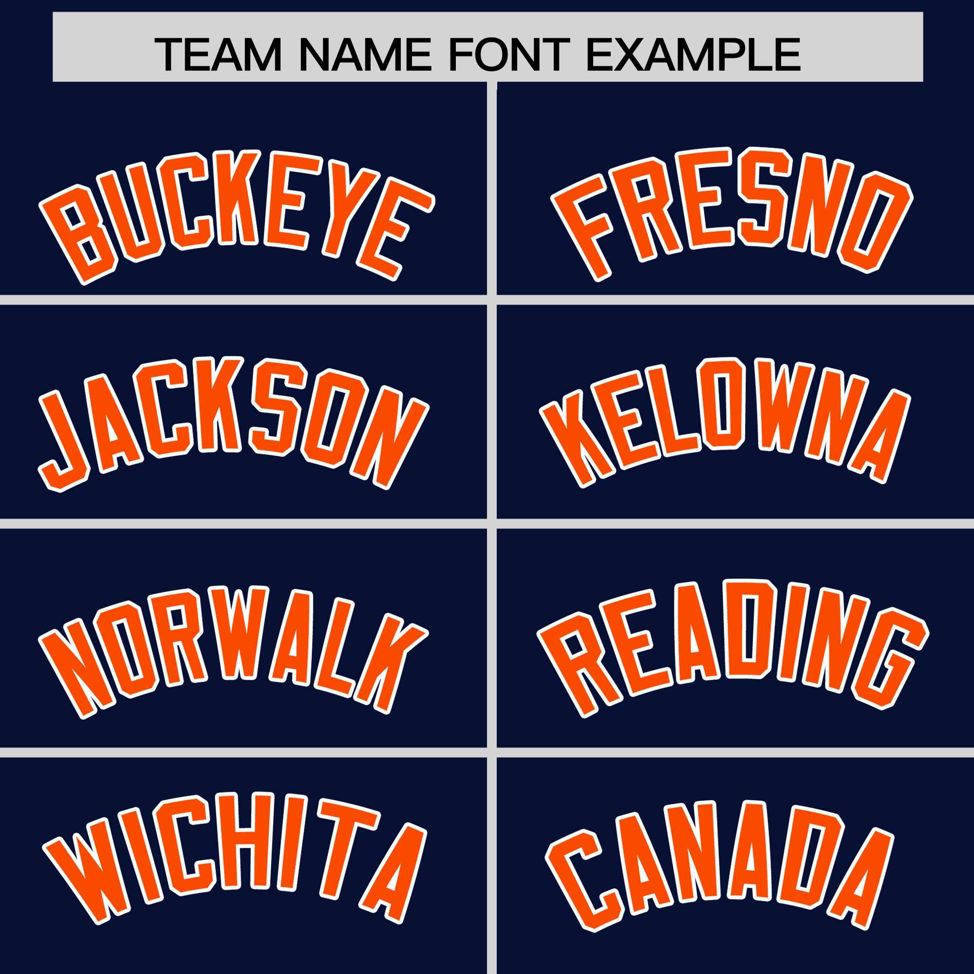 Custom Navy Orange Stripe Animals Graffiti Pattern Raglan Sleeves Authentic Baseball Jersey
