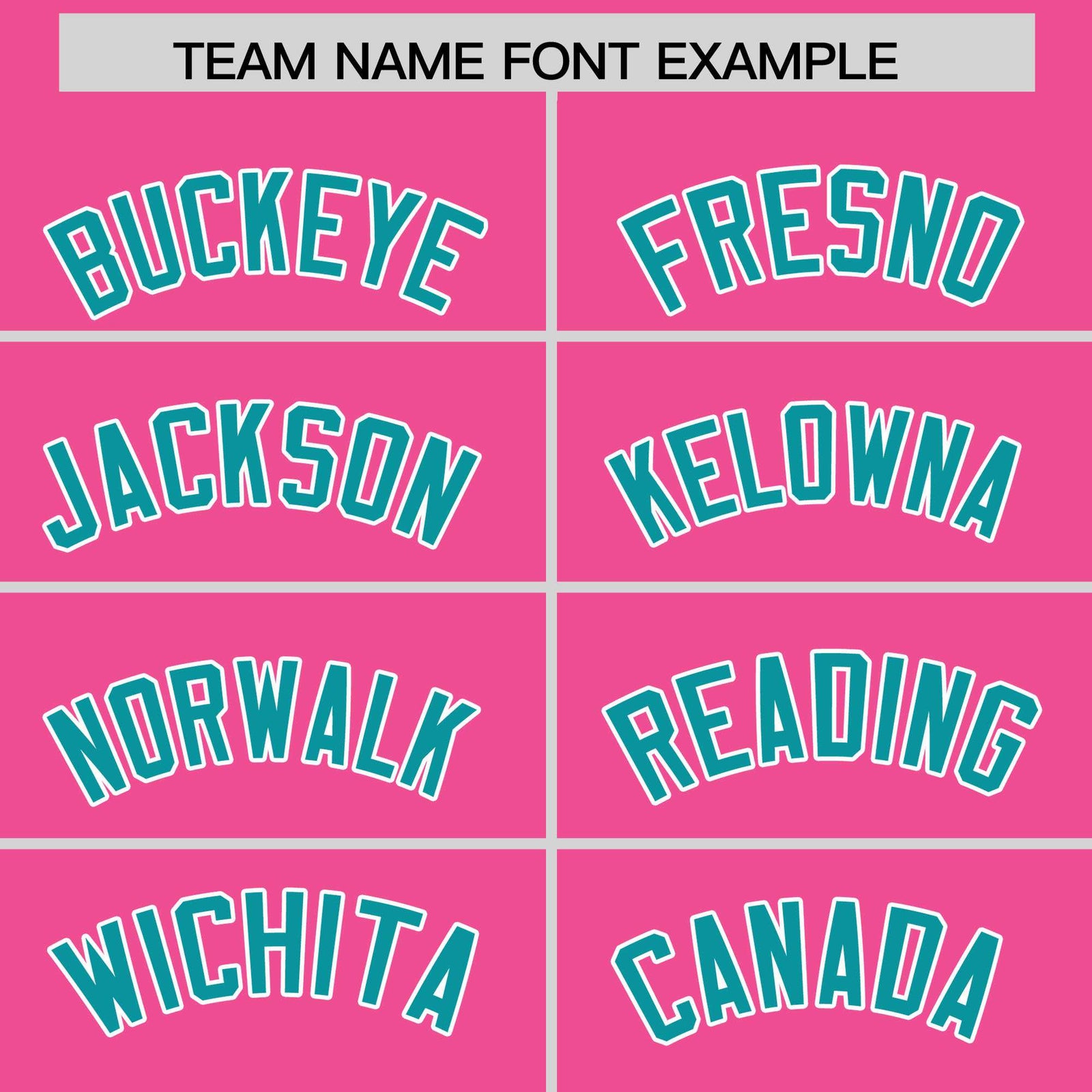 Custom Pink Aqua Stripe Animals Graffiti Pattern Raglan Sleeves Authentic Baseball Jersey