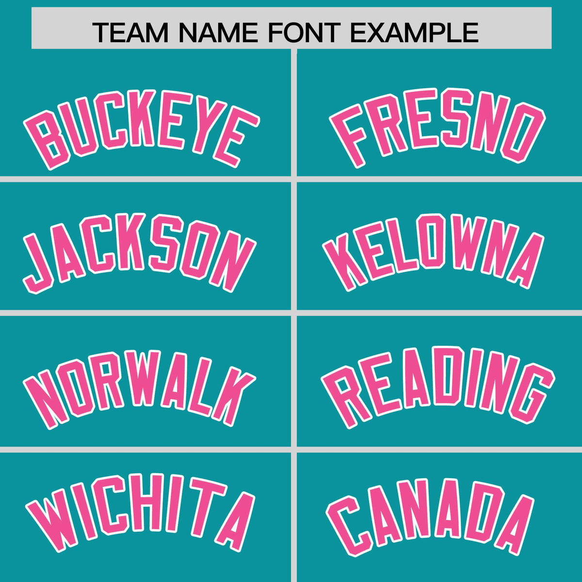 Custom Aqua Pink Stripe Animals Graffiti Pattern Raglan Sleeves Authentic Baseball Jersey