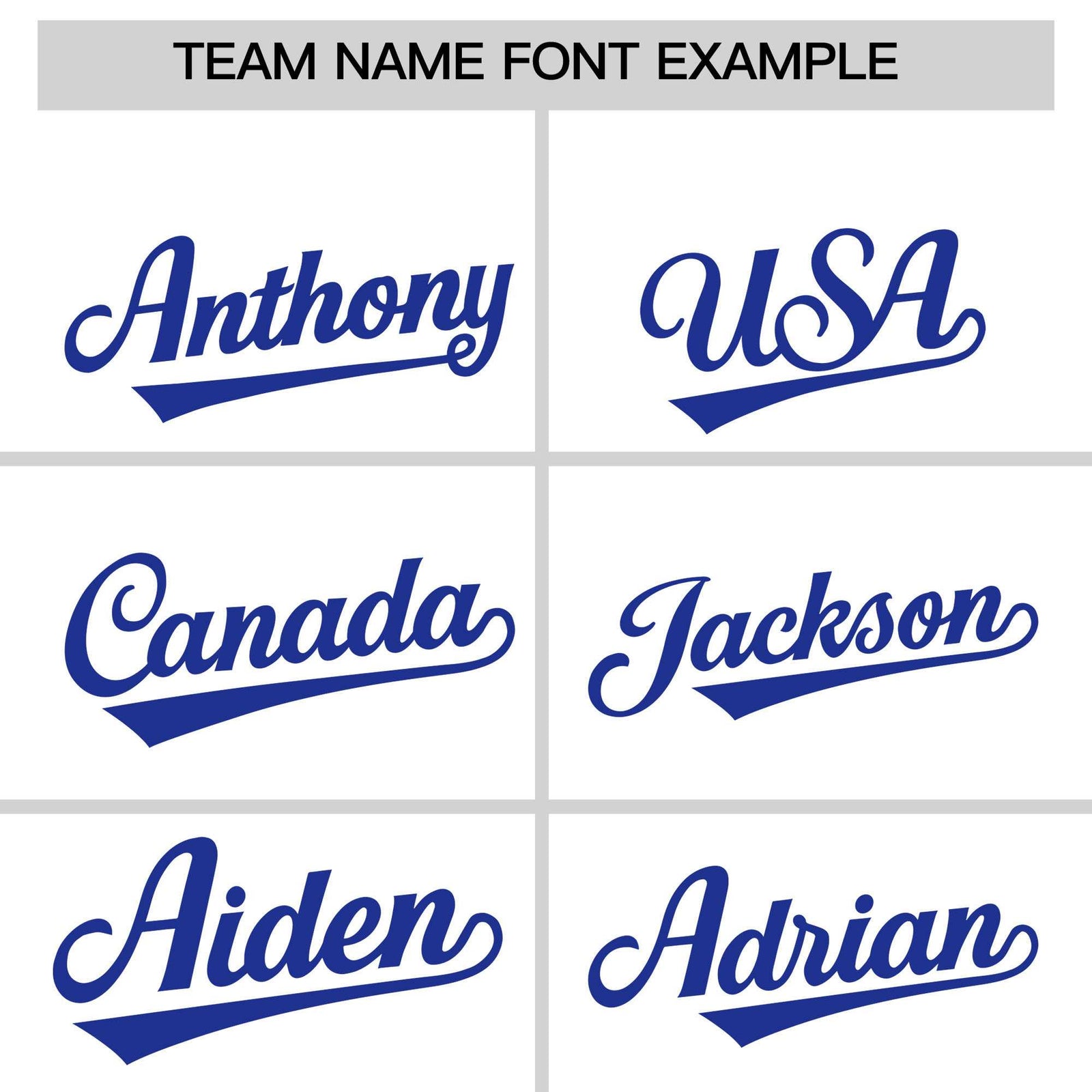 Custom White Royal Stripe Animals Graffiti Pattern Raglan Sleeves Authentic Baseball Jersey