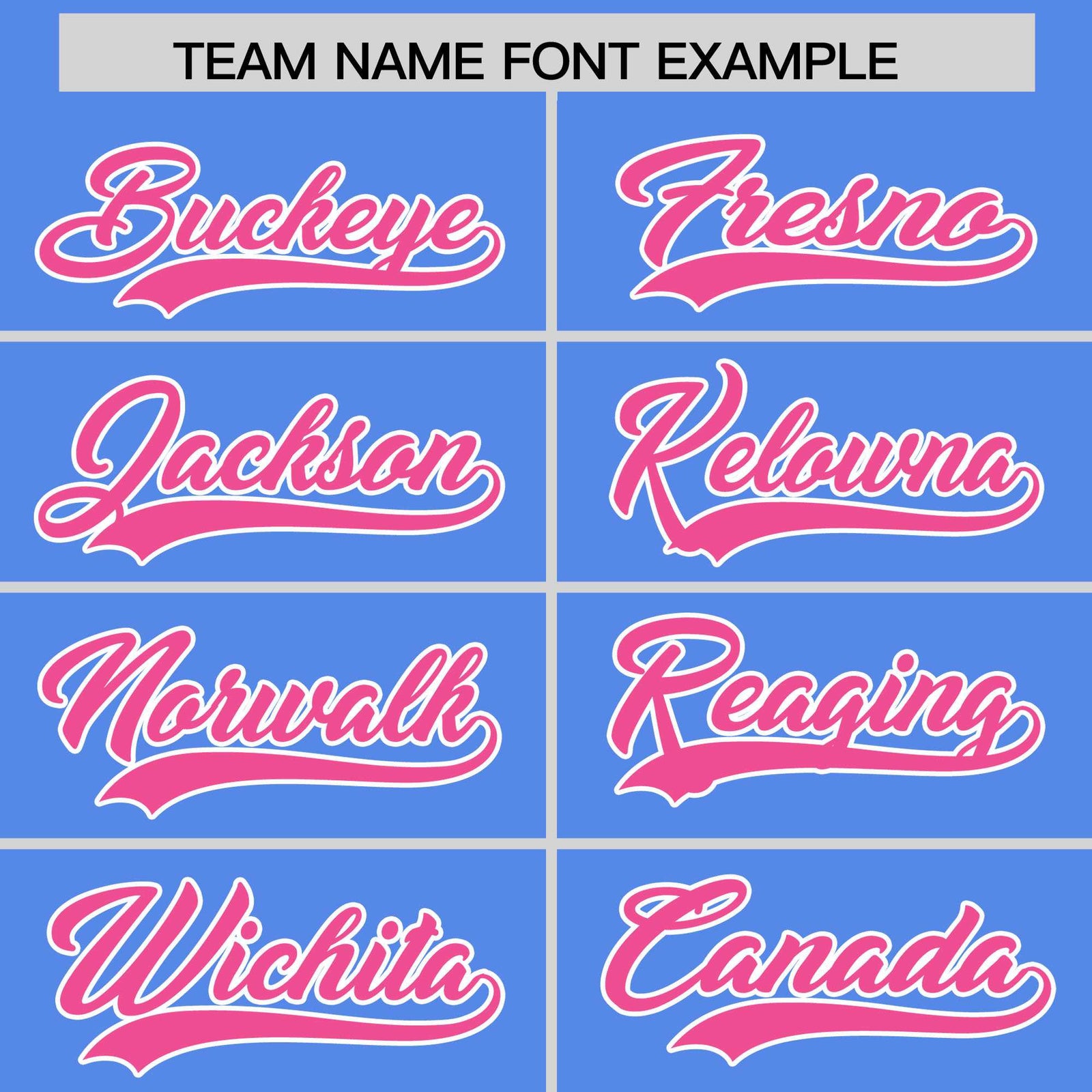 Custom Light Blue Pink Stripe Animals Graffiti Pattern Raglan Sleeves Authentic Baseball Jersey