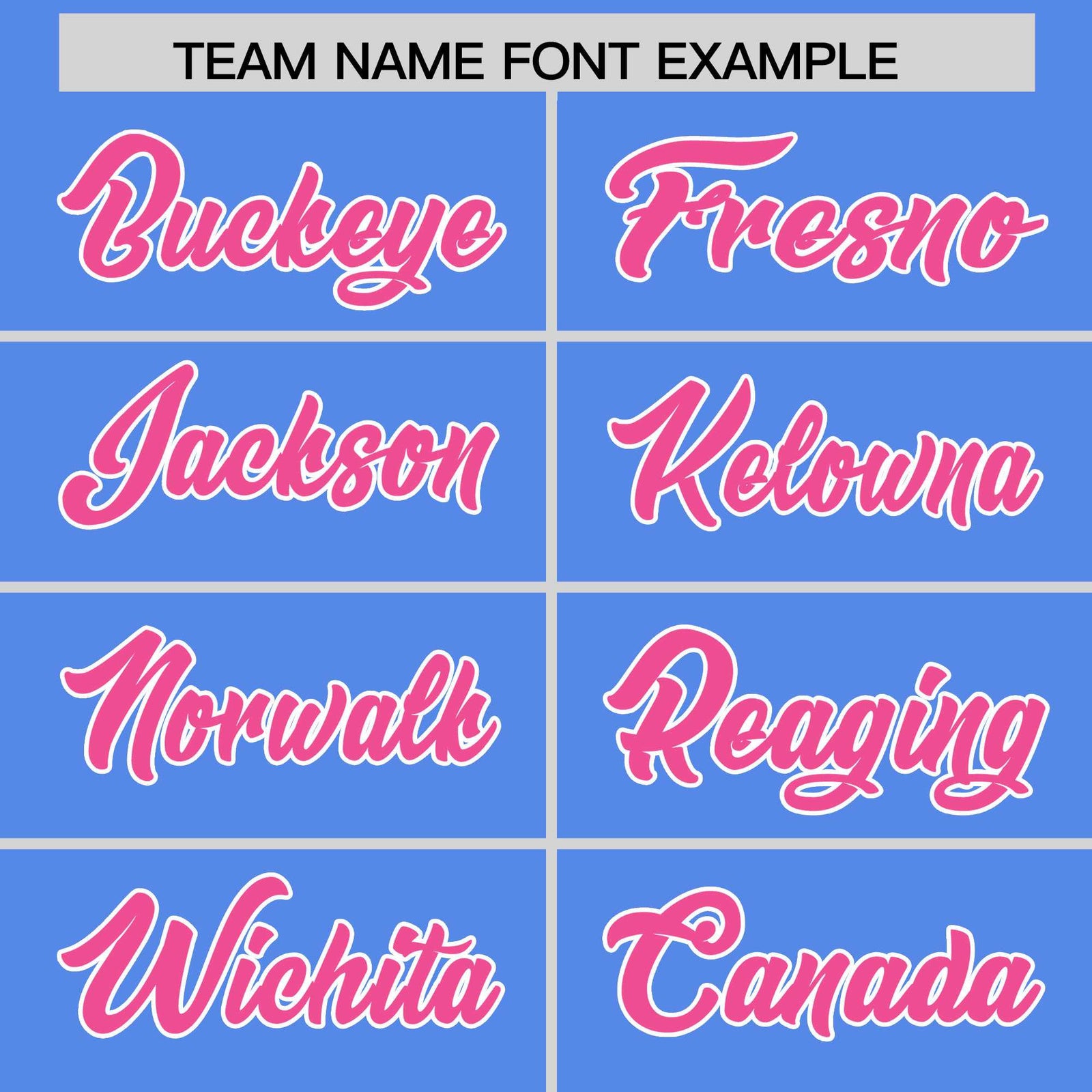 Custom Light Blue Pink Stripe Animals Graffiti Pattern Raglan Sleeves Authentic Baseball Jersey