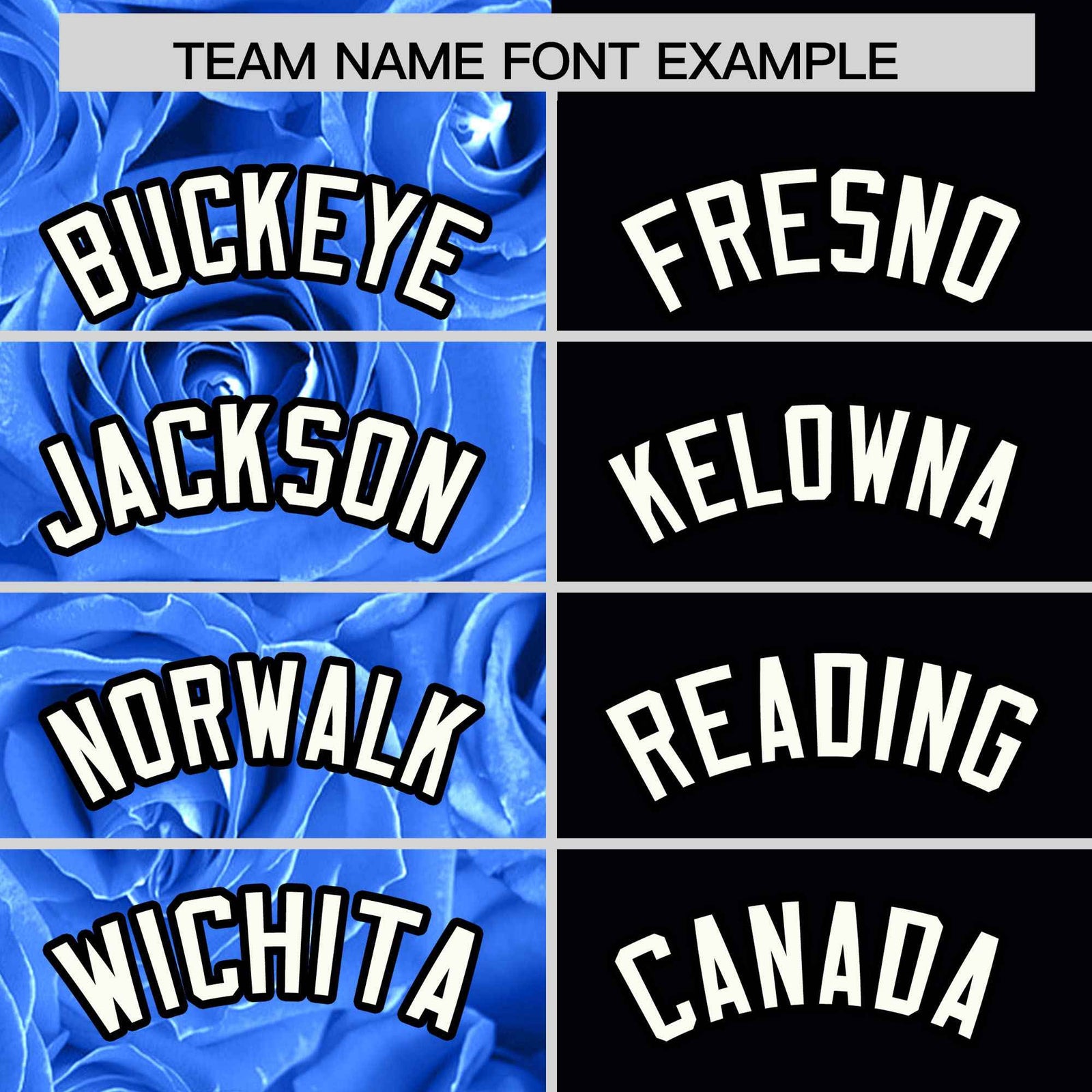 Custom Powder Blue Black Split Rose Print Authentic Baseball Jersey