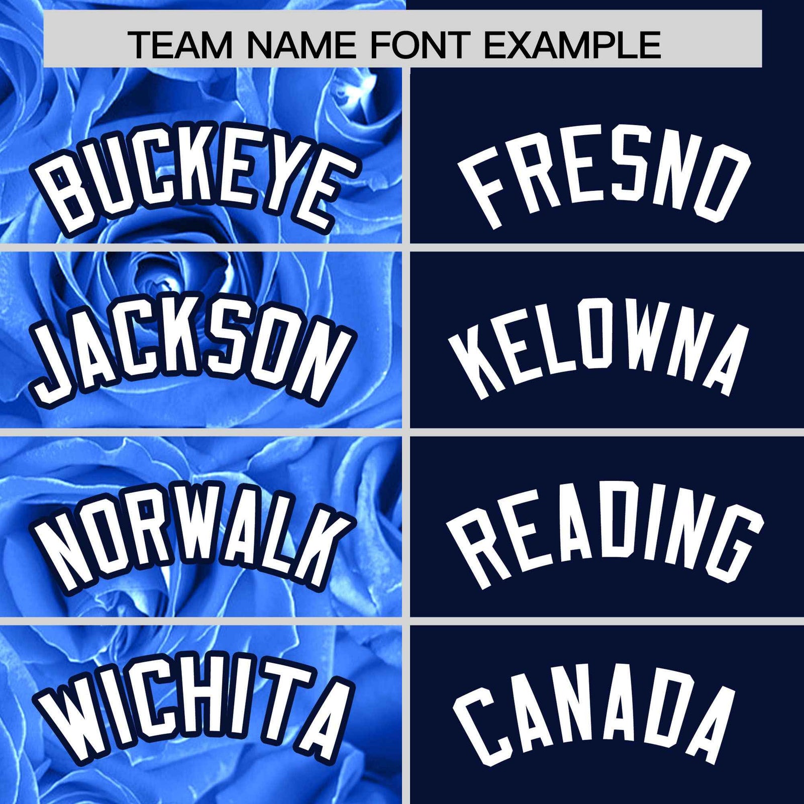 Custom Powder Blue Navy Split Rose Print Authentic Baseball Jersey