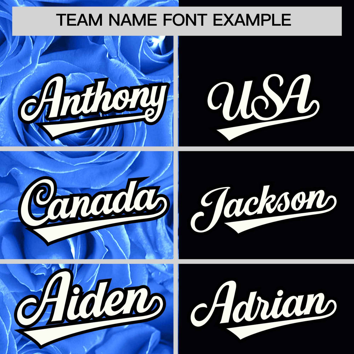 Custom Powder Blue Black Split Rose Print Authentic Baseball Jersey