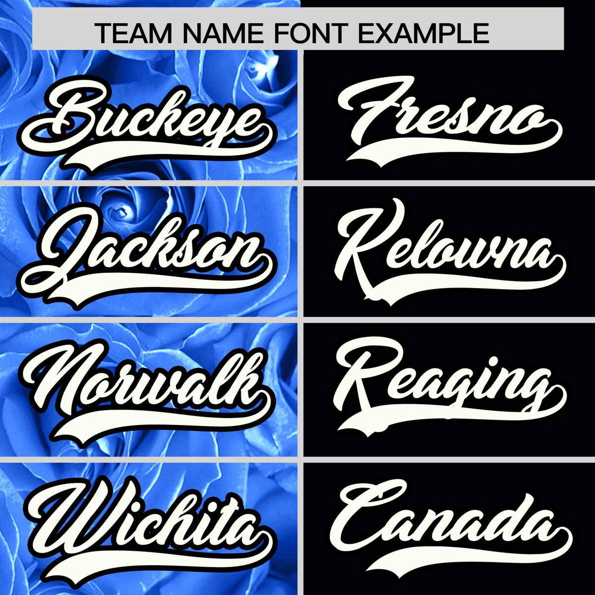 Custom Powder Blue Black Split Rose Print Authentic Baseball Jersey