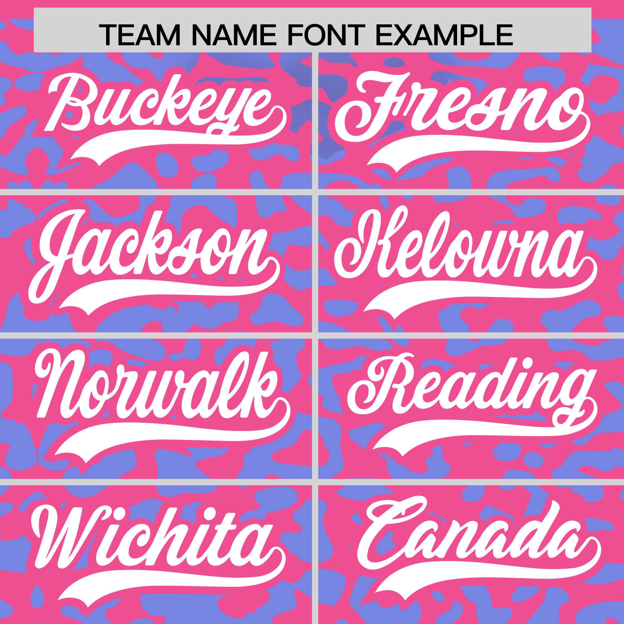Custom Pink Light Blue Leopard Print Pattern Authentic Baseball Jersey