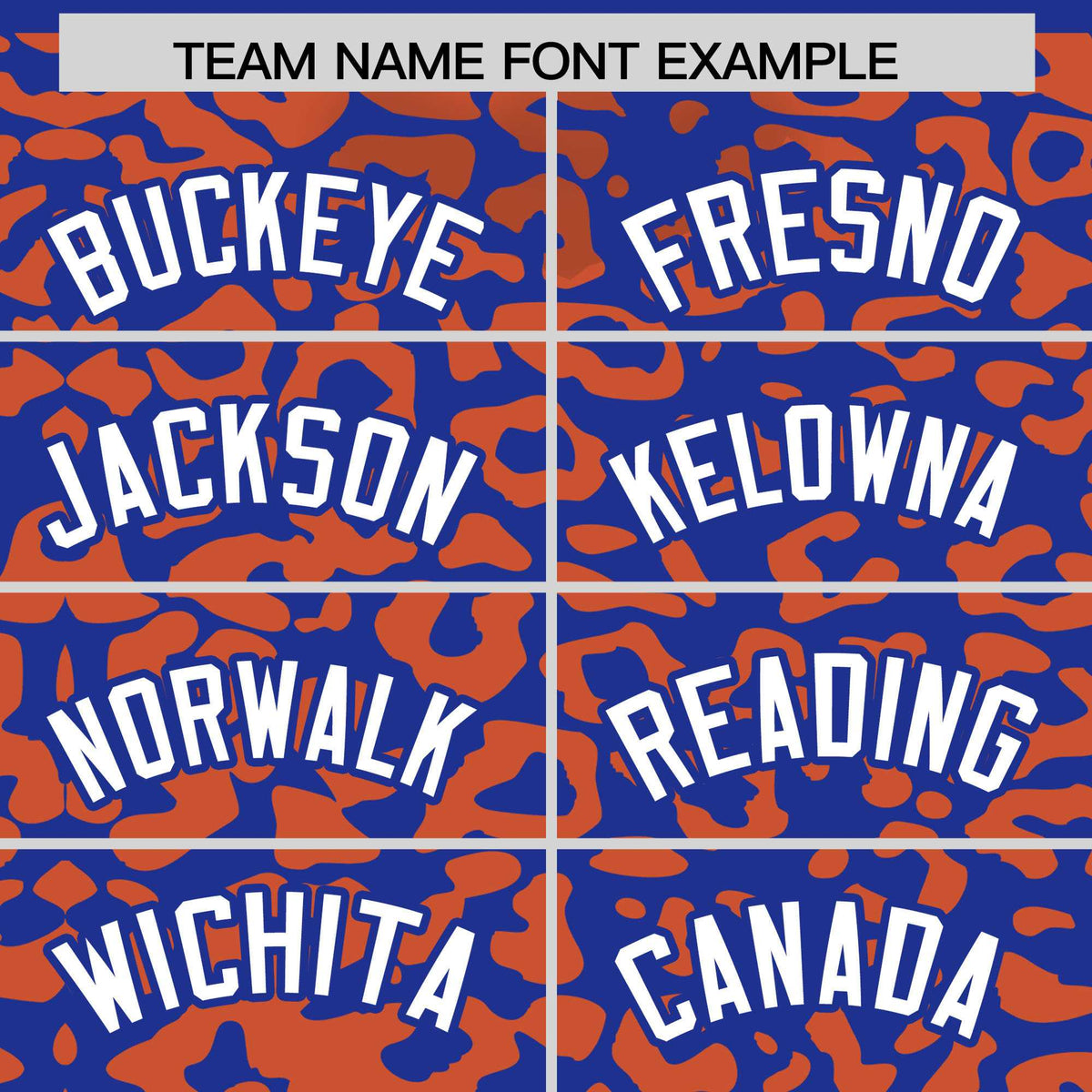 Custom Royal Orange Leopard Print Pattern Authentic Baseball Jersey