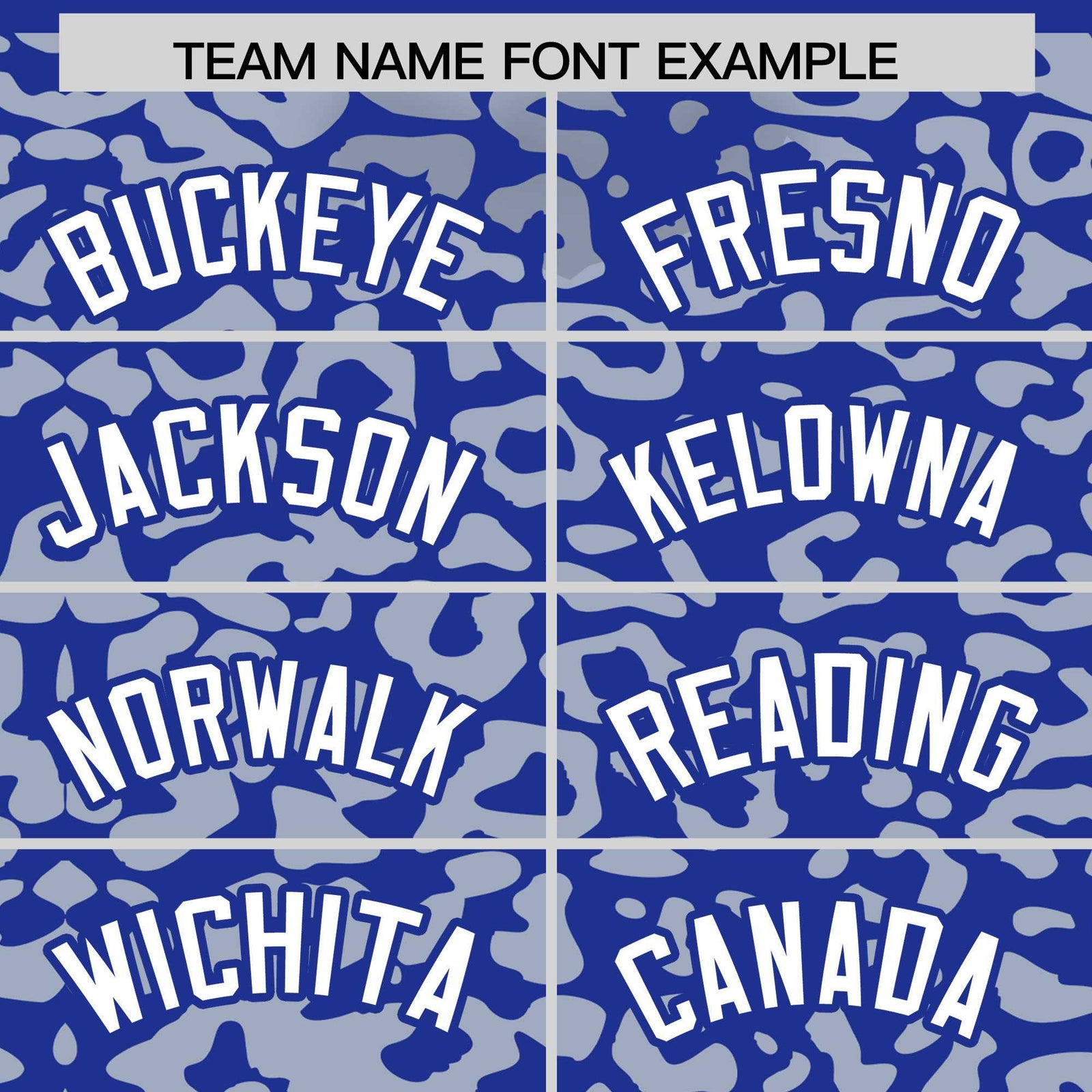 Custom Royal Silver Leopard Print Pattern Authentic Baseball Jersey