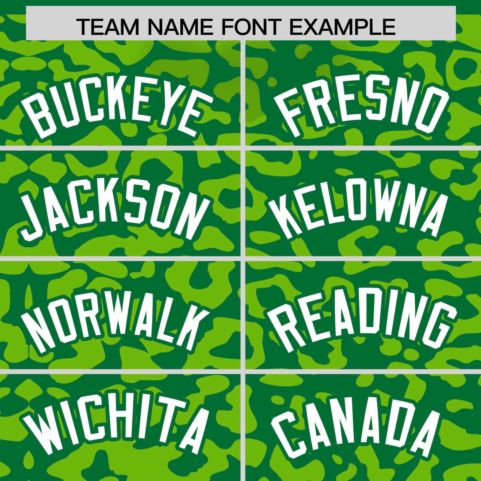 Custom Kelly Green Neon Green Leopard Print Pattern Authentic Baseball Jersey