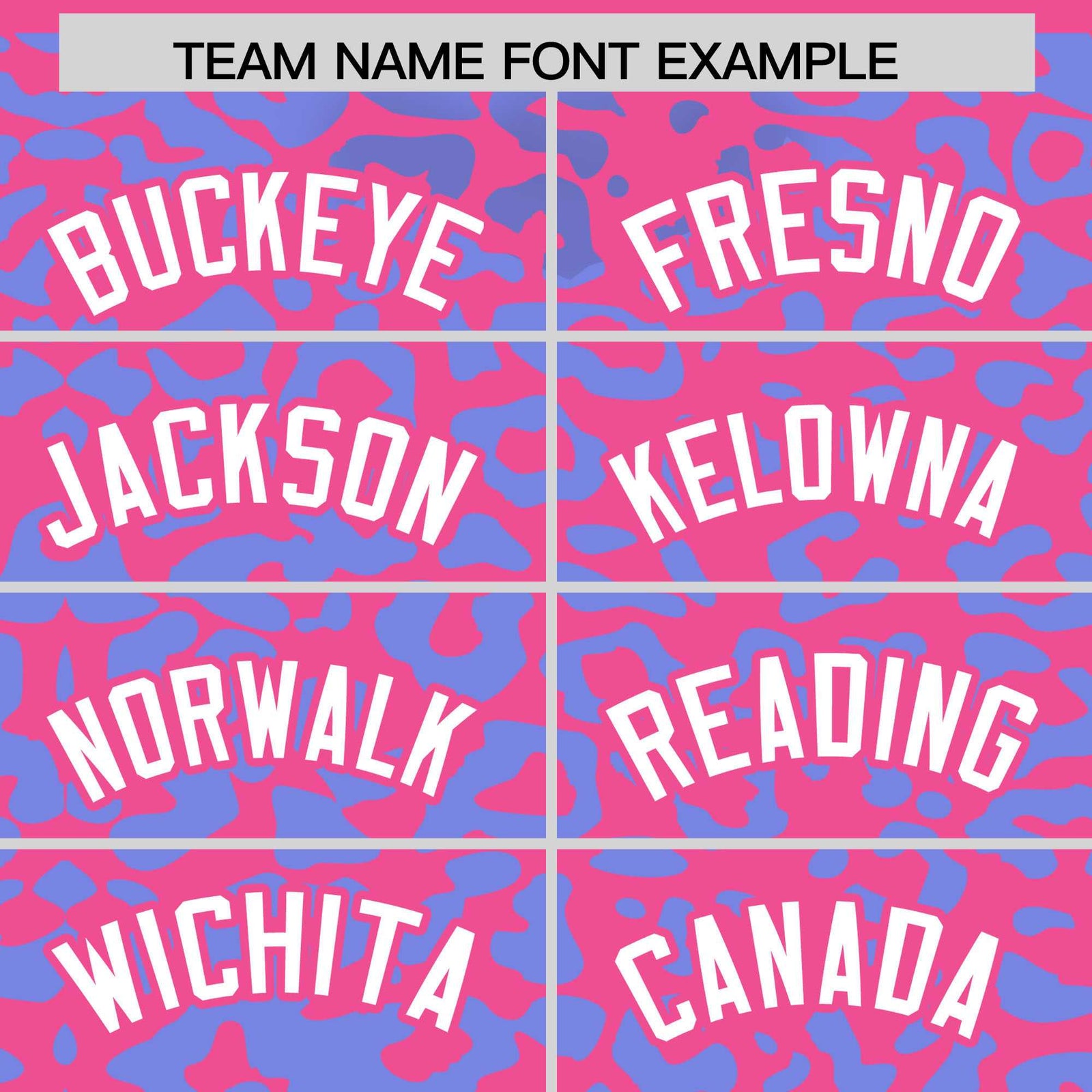 Custom Pink Light Blue Leopard Print Pattern Authentic Baseball Jersey