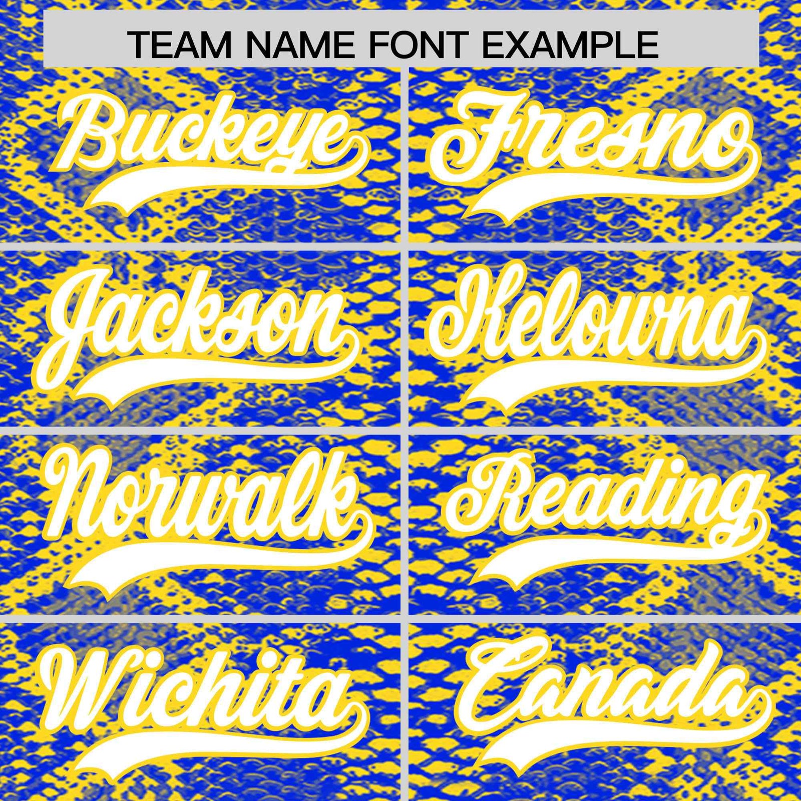 Custom Multi Color Snakeskin Pattern Authentic Baseball Jersey