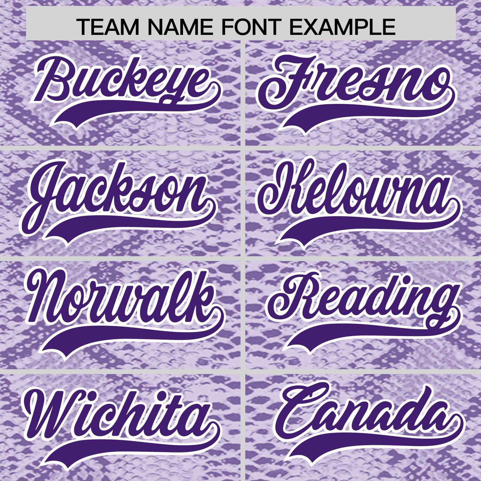 Custom Multi Color Snakeskin Pattern Authentic Baseball Jersey