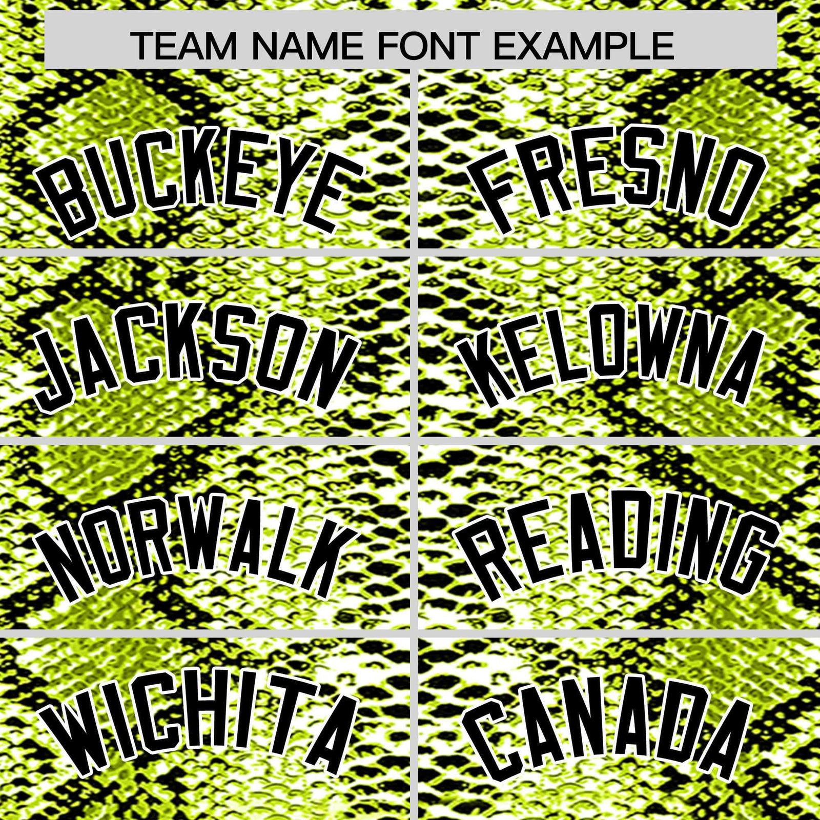 Custom Multi Color Snakeskin Pattern Authentic Baseball Jersey