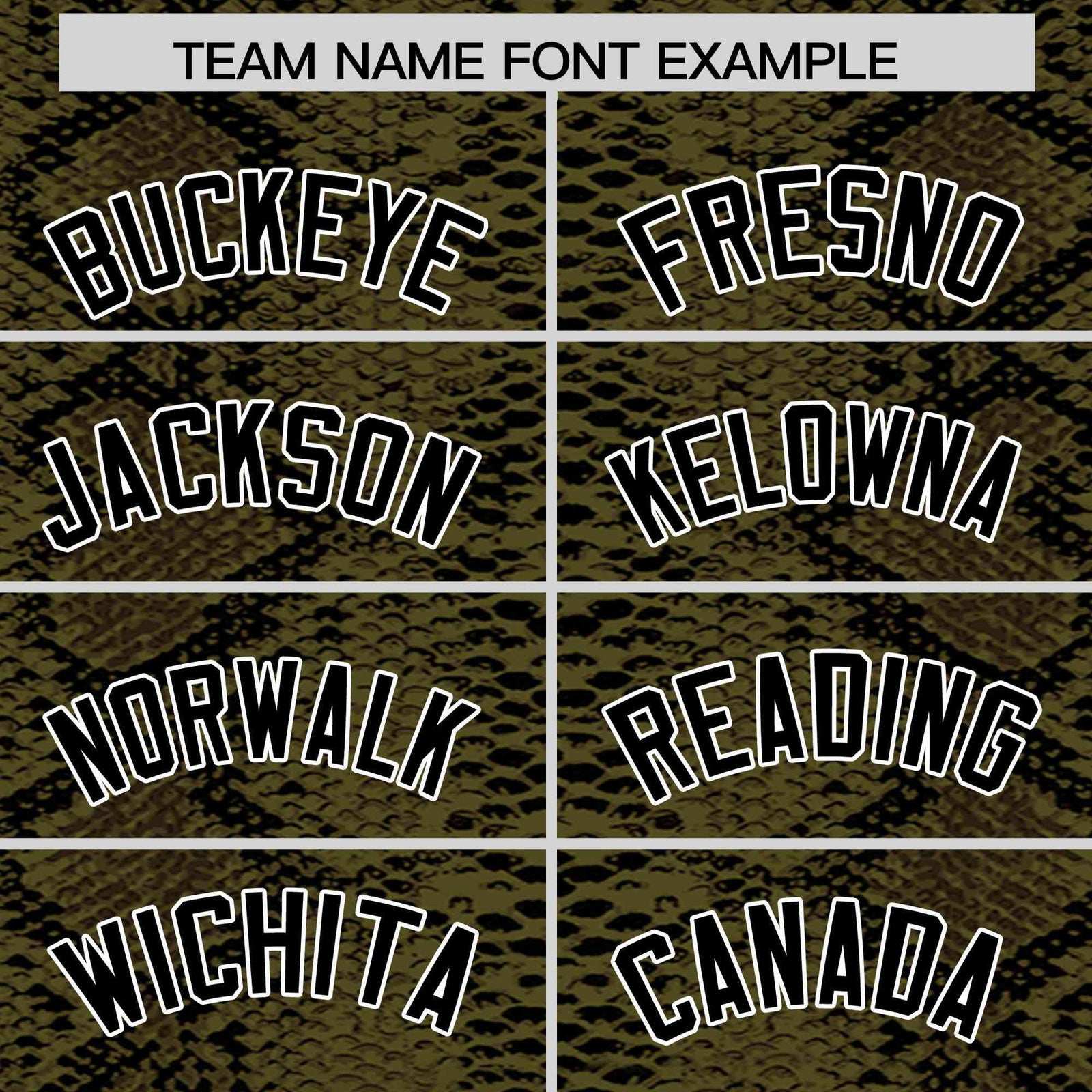 Custom Multi Color Snakeskin Pattern Authentic Baseball Jersey