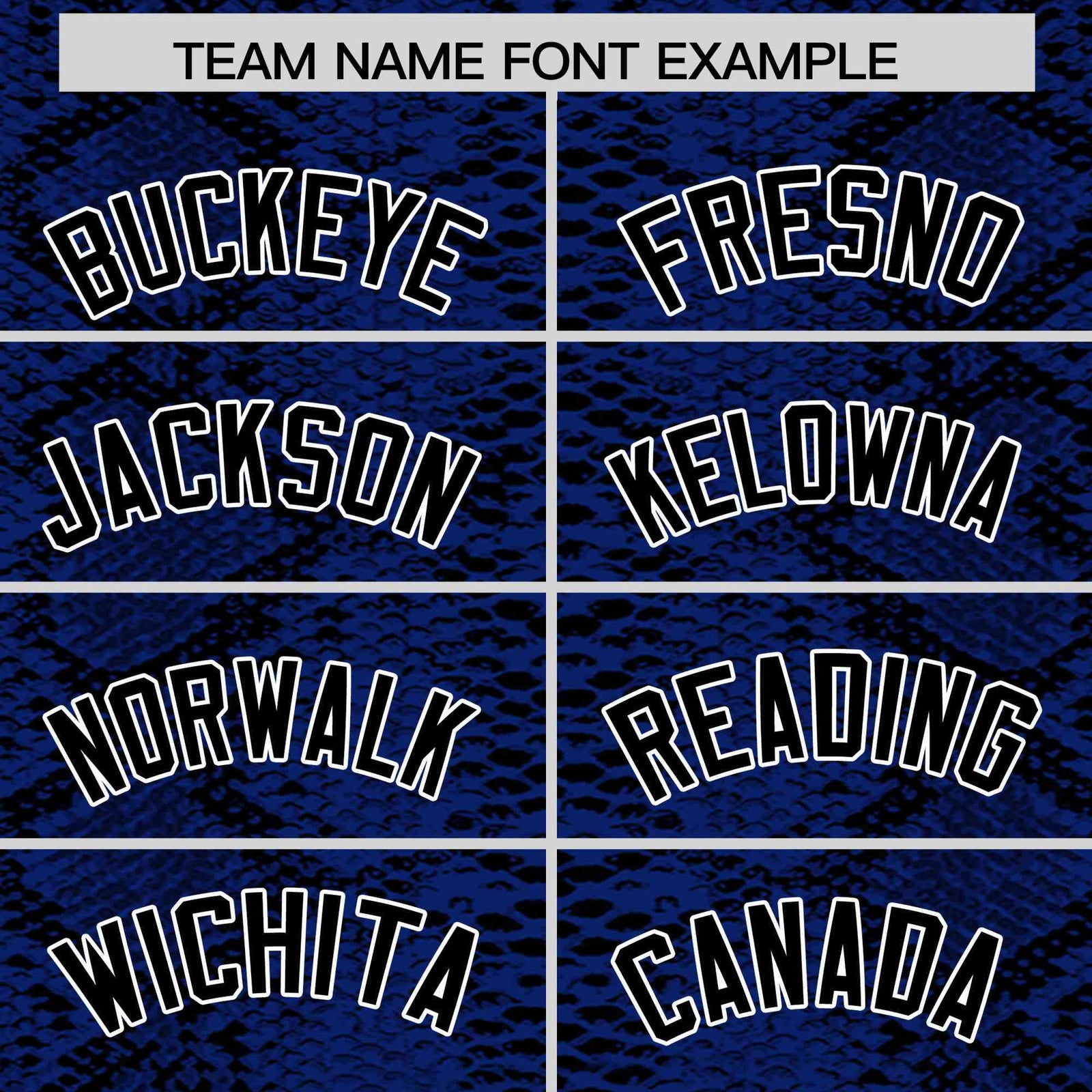 Custom Multi Color Snakeskin Pattern Authentic Baseball Jersey