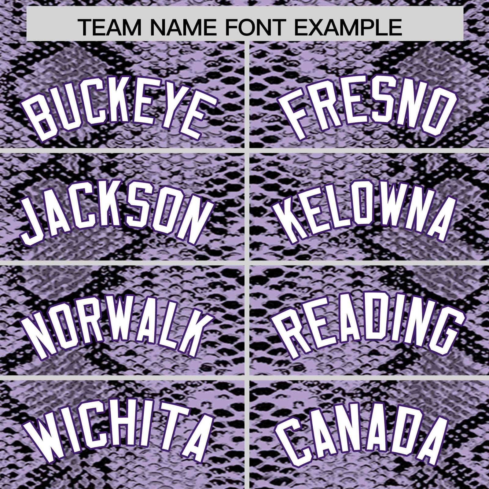 Custom Multi Color Snakeskin Pattern Authentic Baseball Jersey