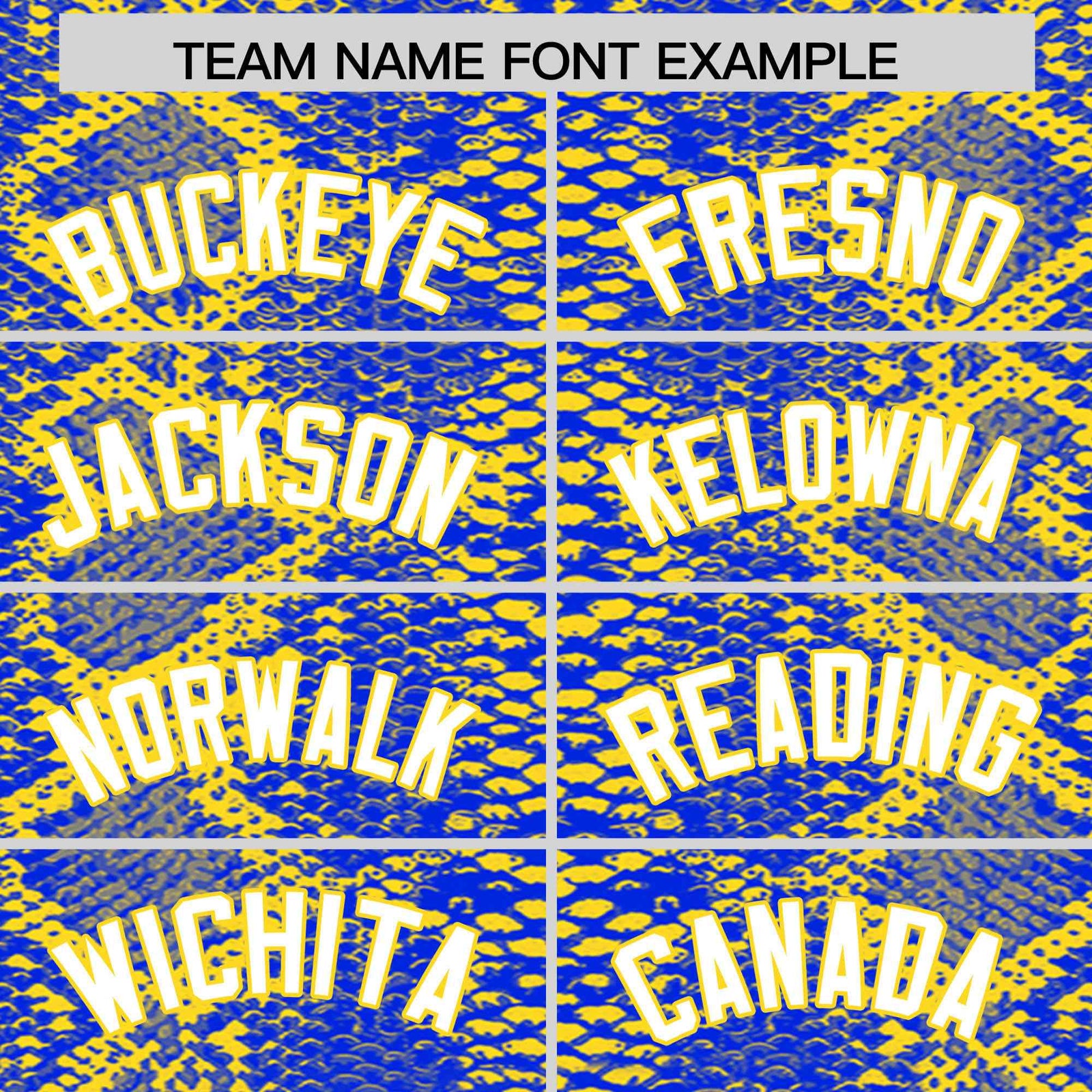 Custom Multi Color Snakeskin Pattern Authentic Baseball Jersey